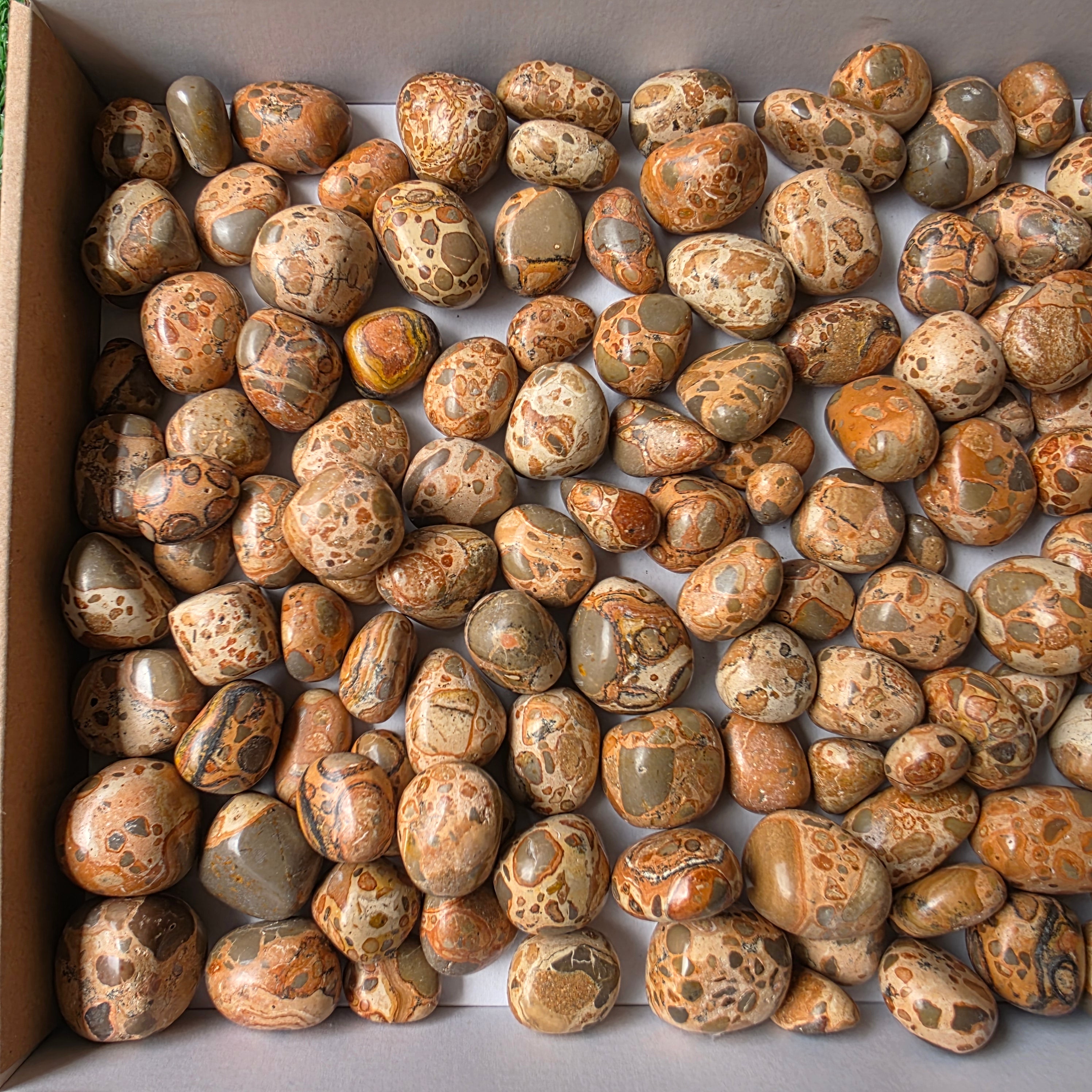 Lot 2 kg Leopardite Tumbled