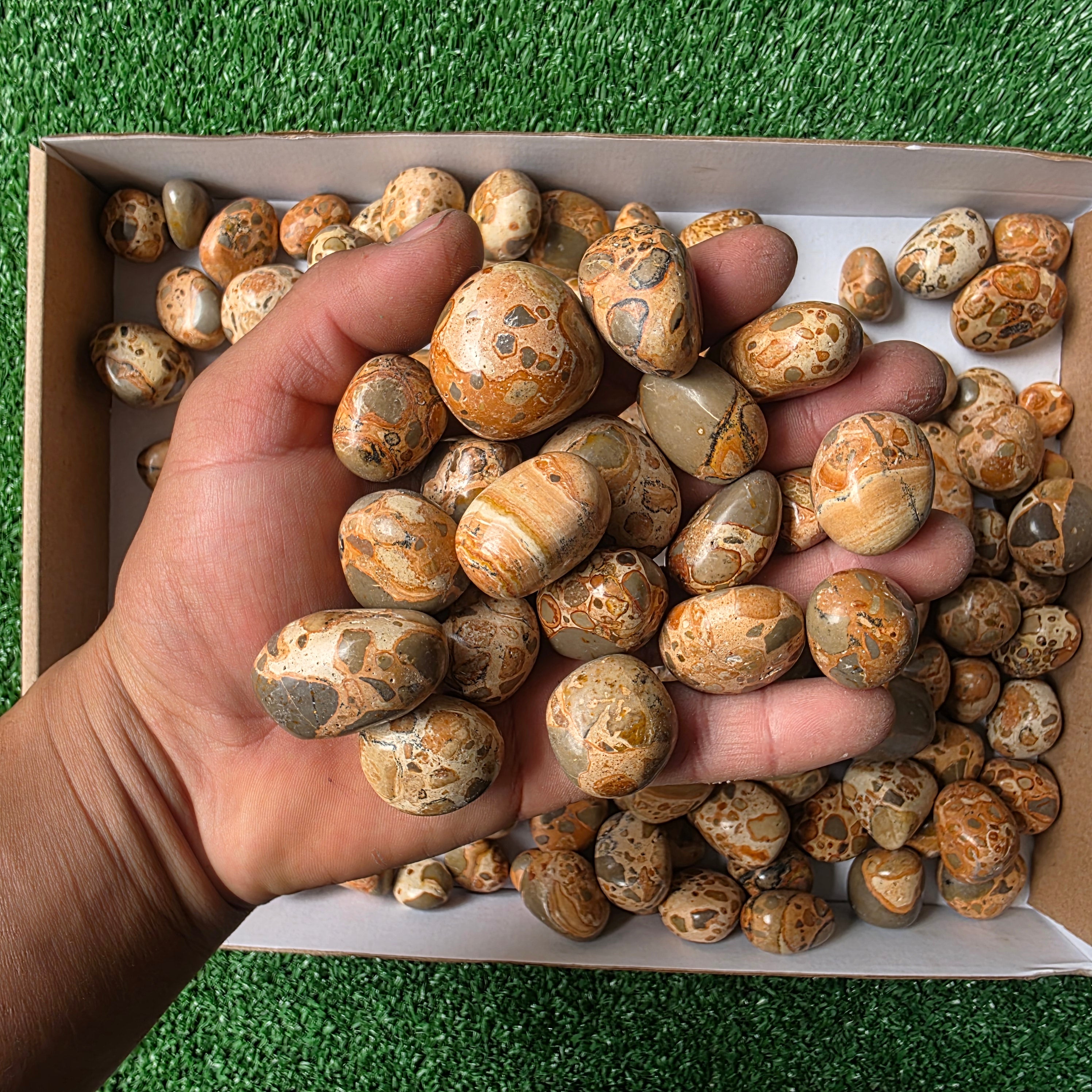 Lot 2 kg Leopardite Tumbled