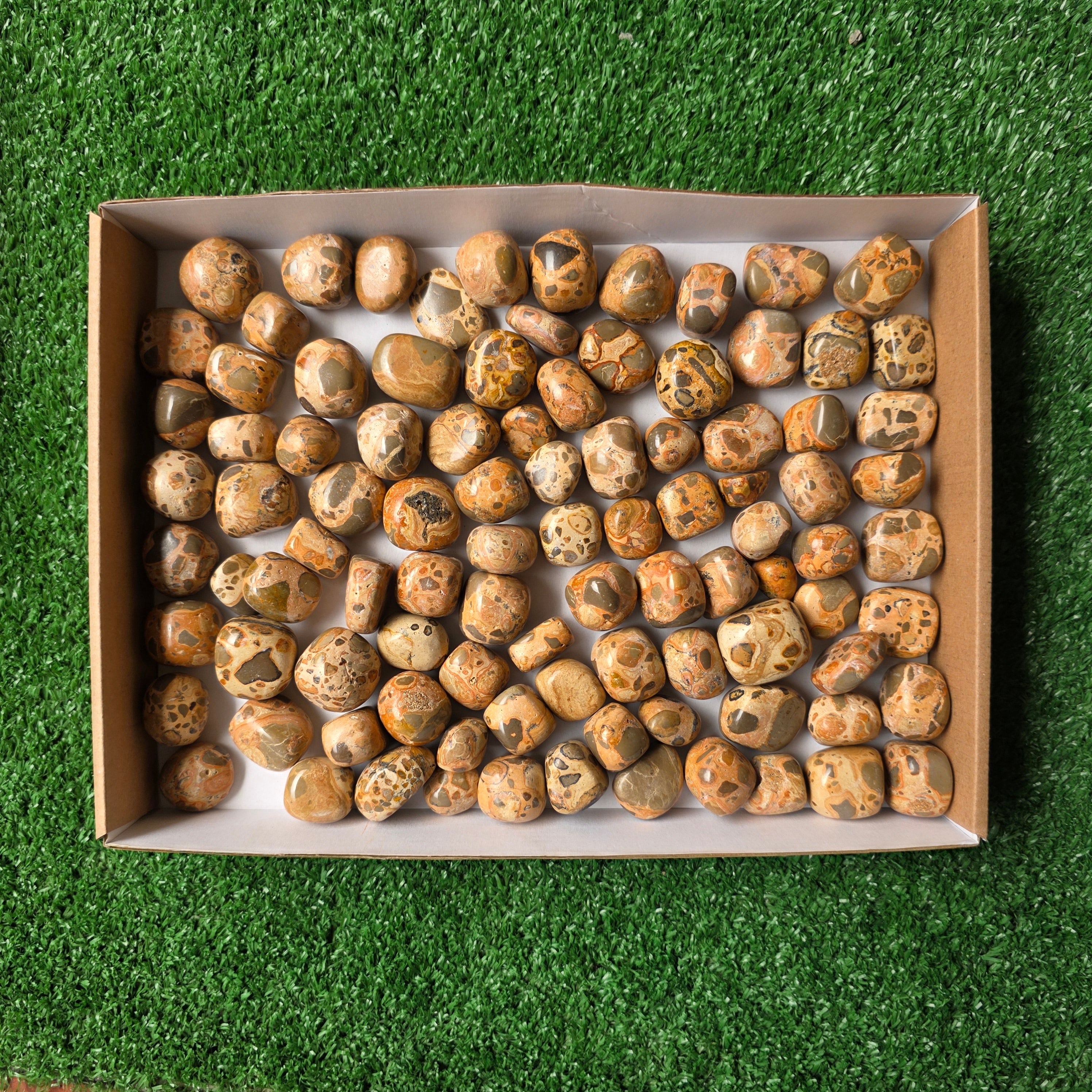 lot 2 kg Jaspe Leopardo tumbled