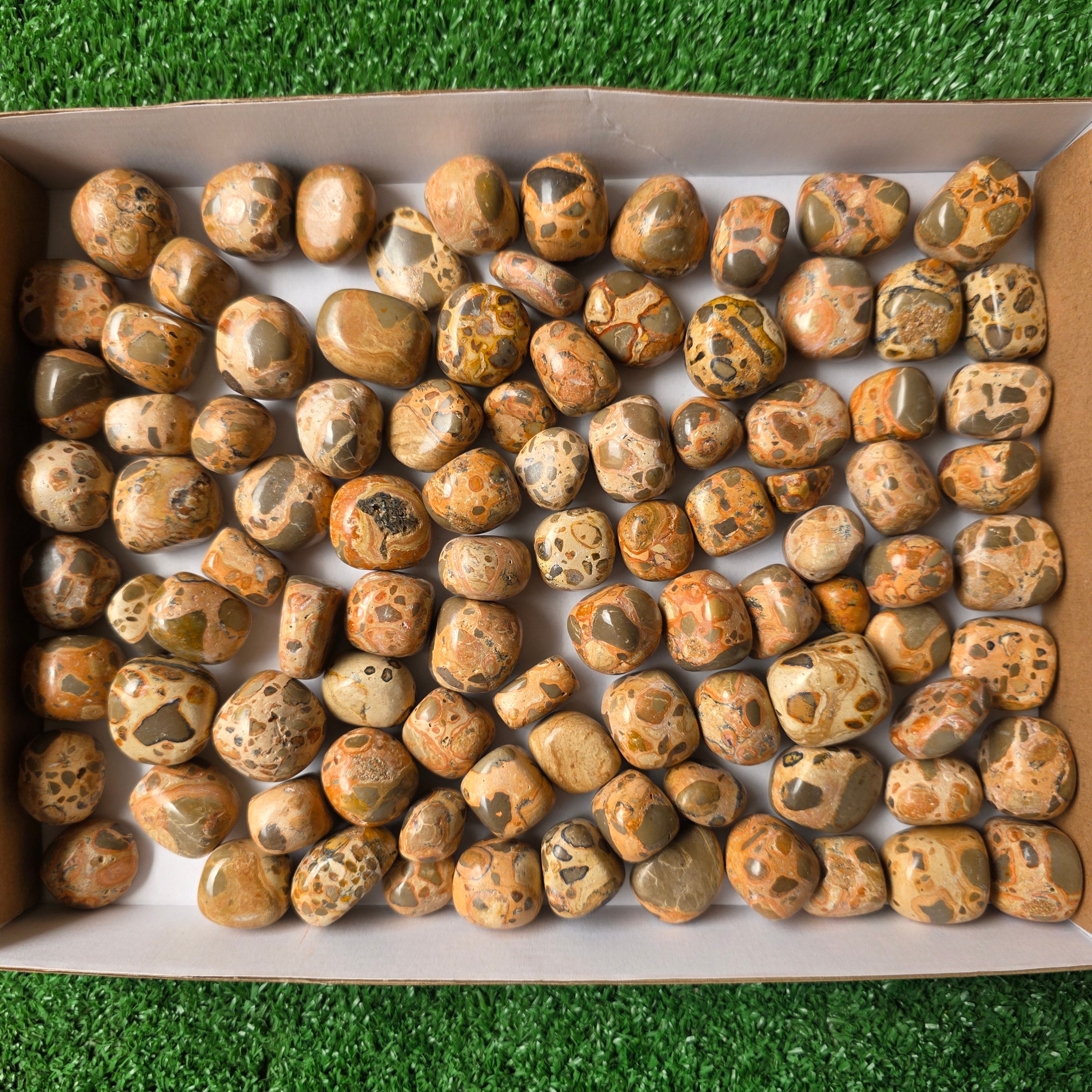lot 2 kg Jaspe Leopardo tumbled