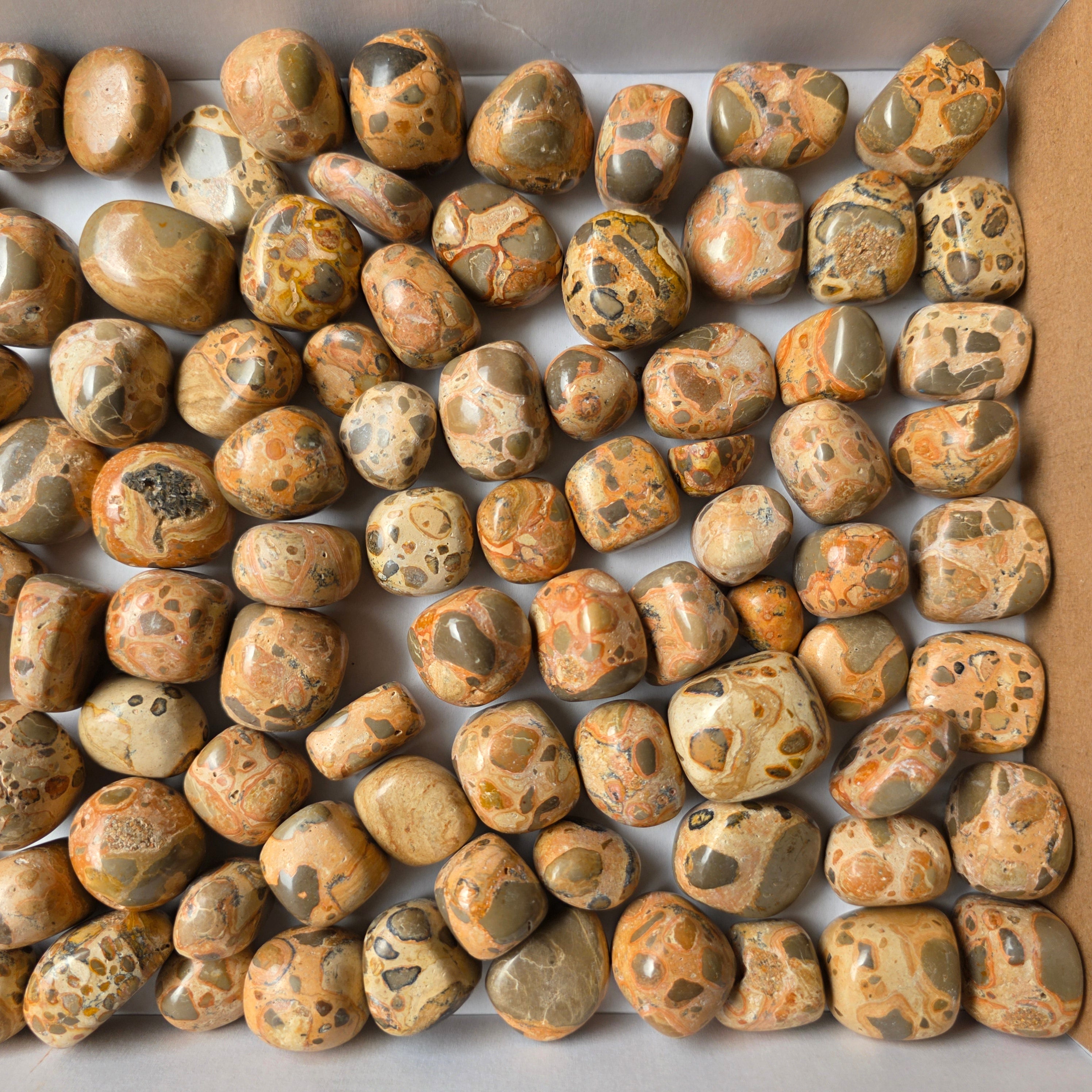lot 2 kg Jaspe Leopardo tumbled