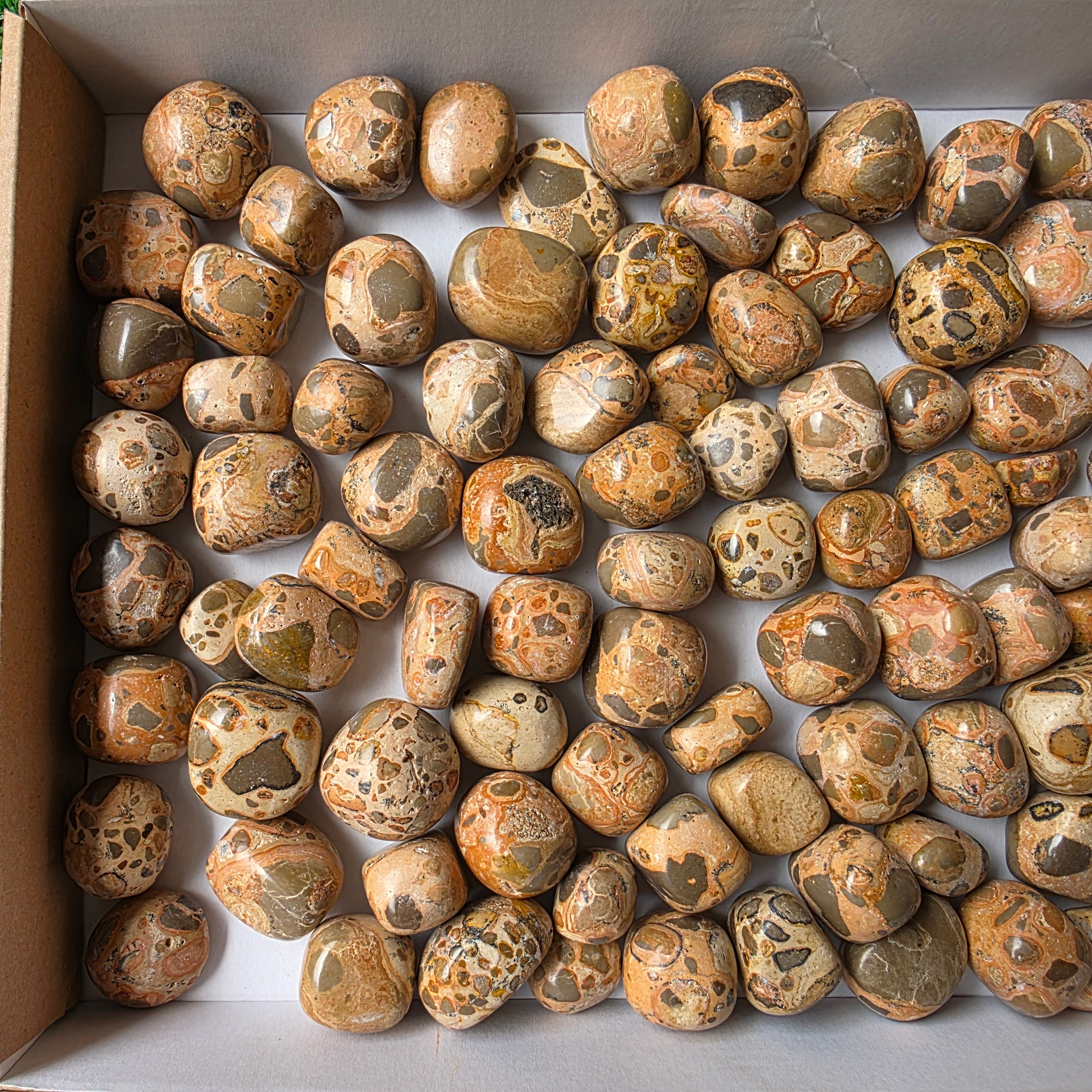 lot 2 kg Jaspe Leopardo tumbled