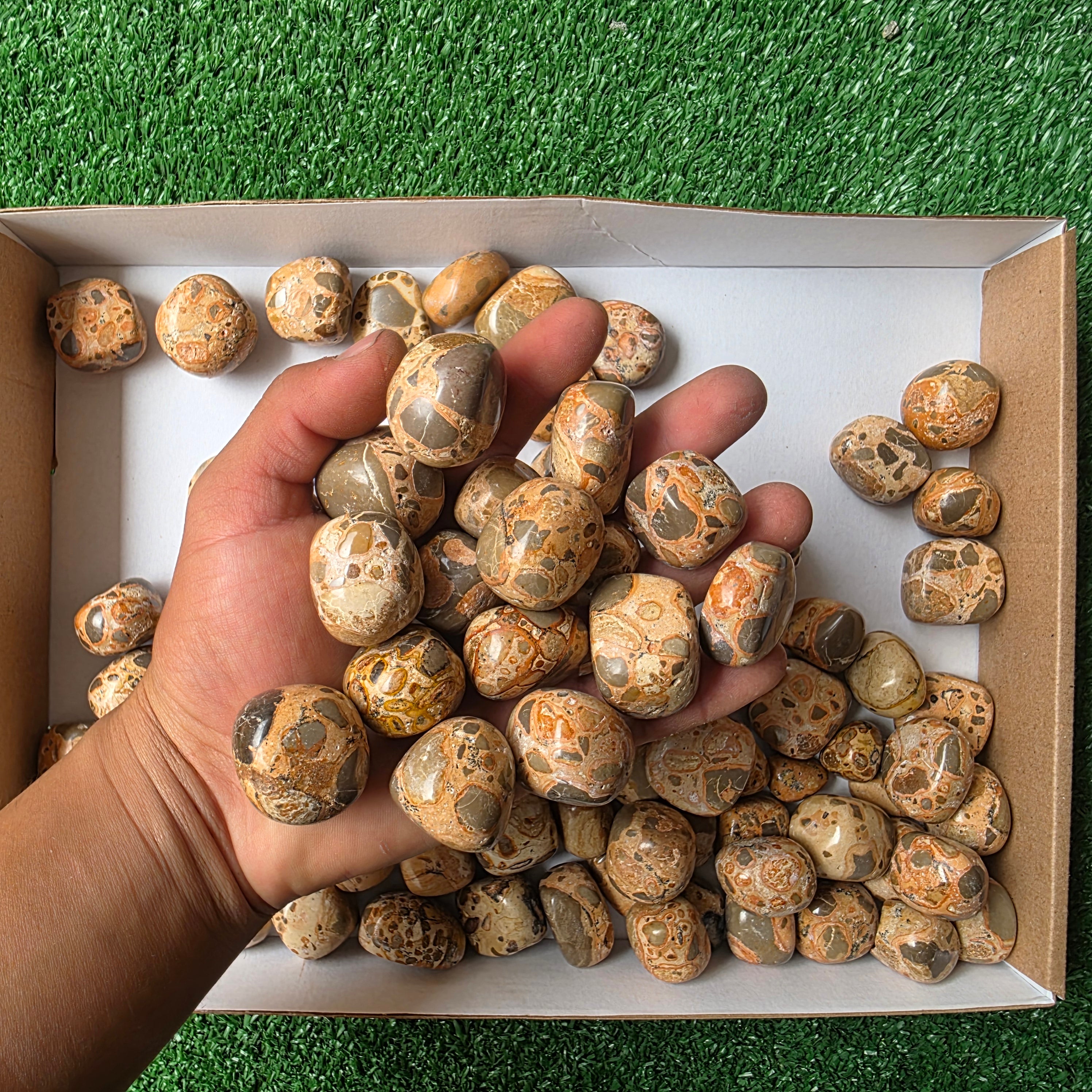 lot 2 kg Jaspe Leopardo tumbled