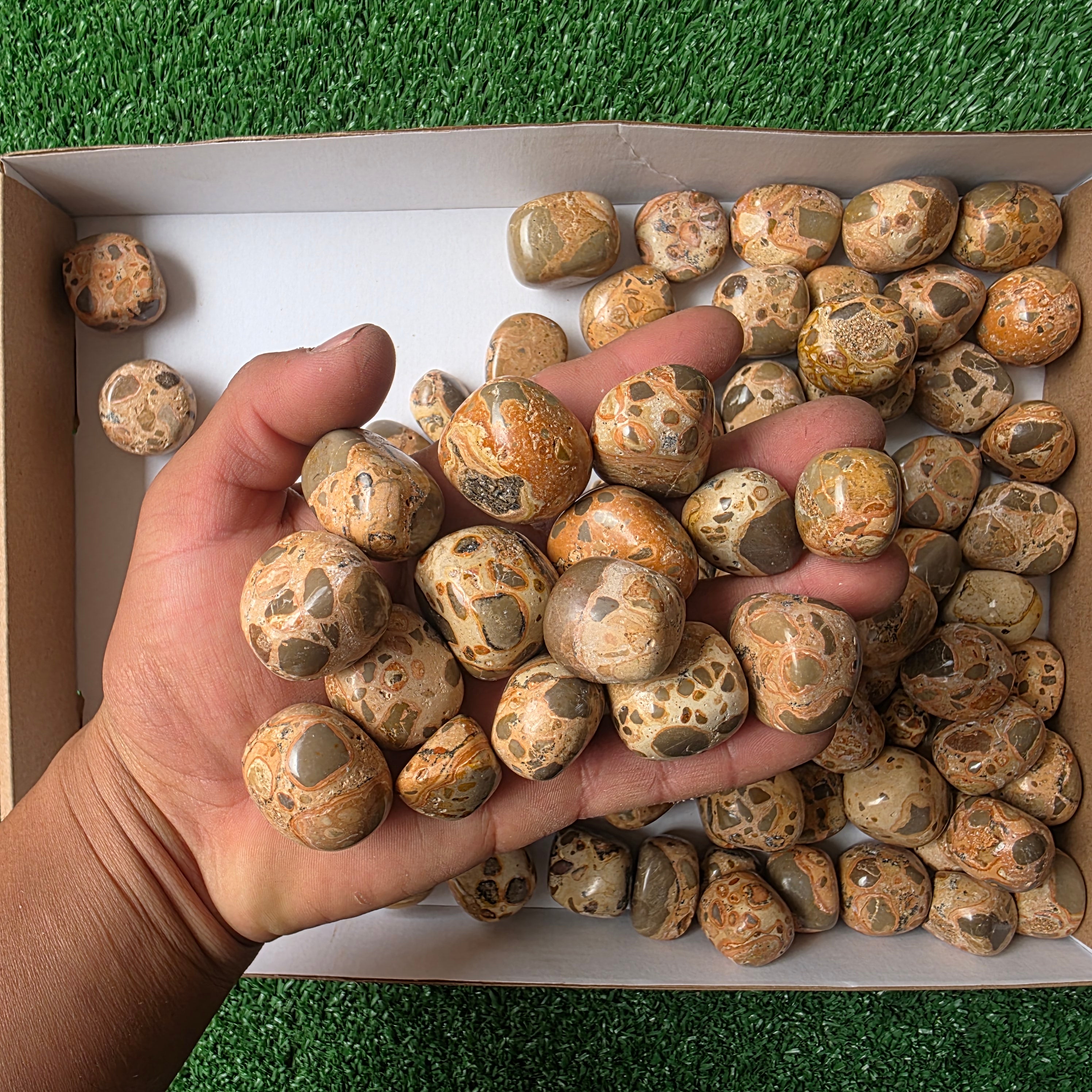 lot 2 kg Jaspe Leopardo tumbled