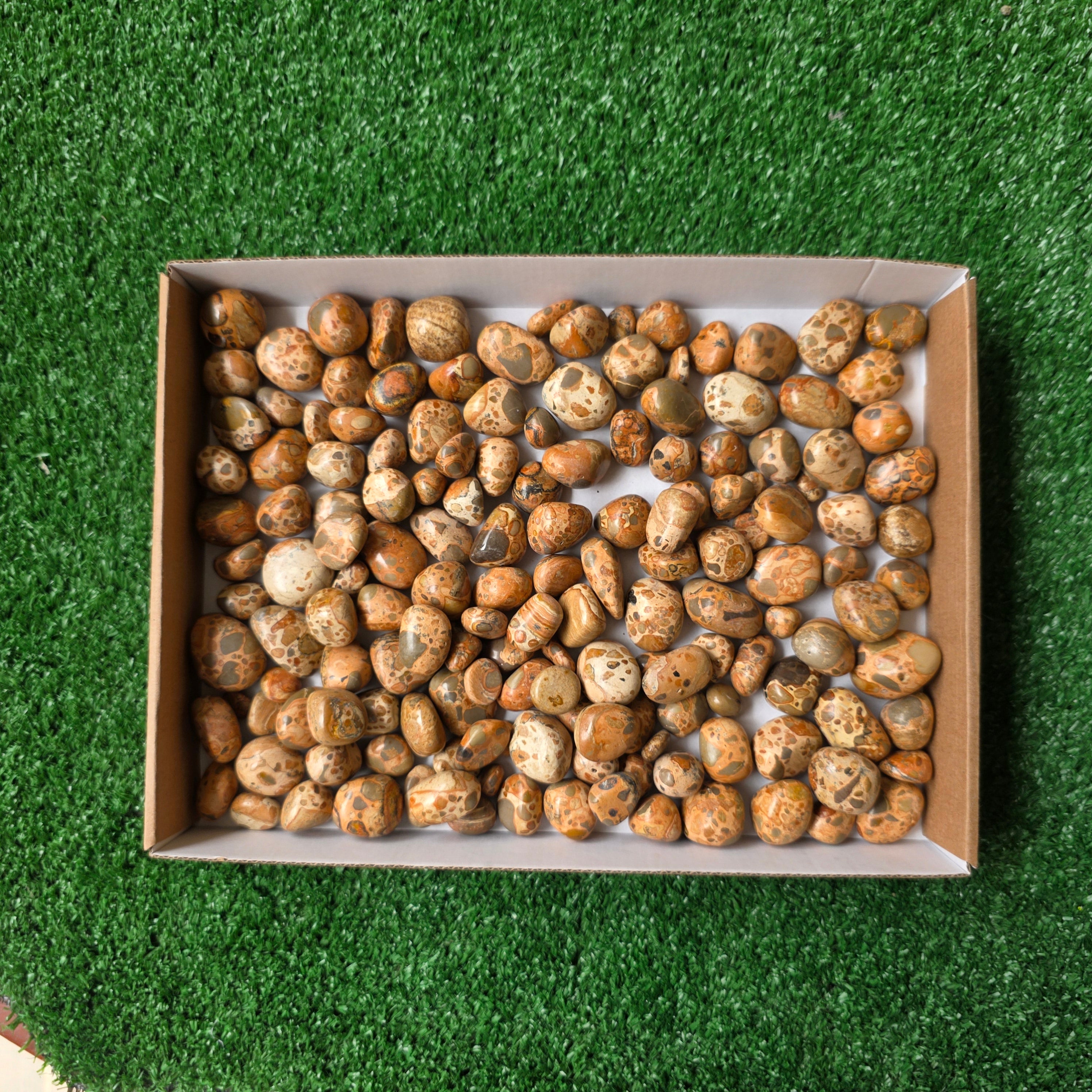 lot 2 kg Jaspe Leopardo tumbled