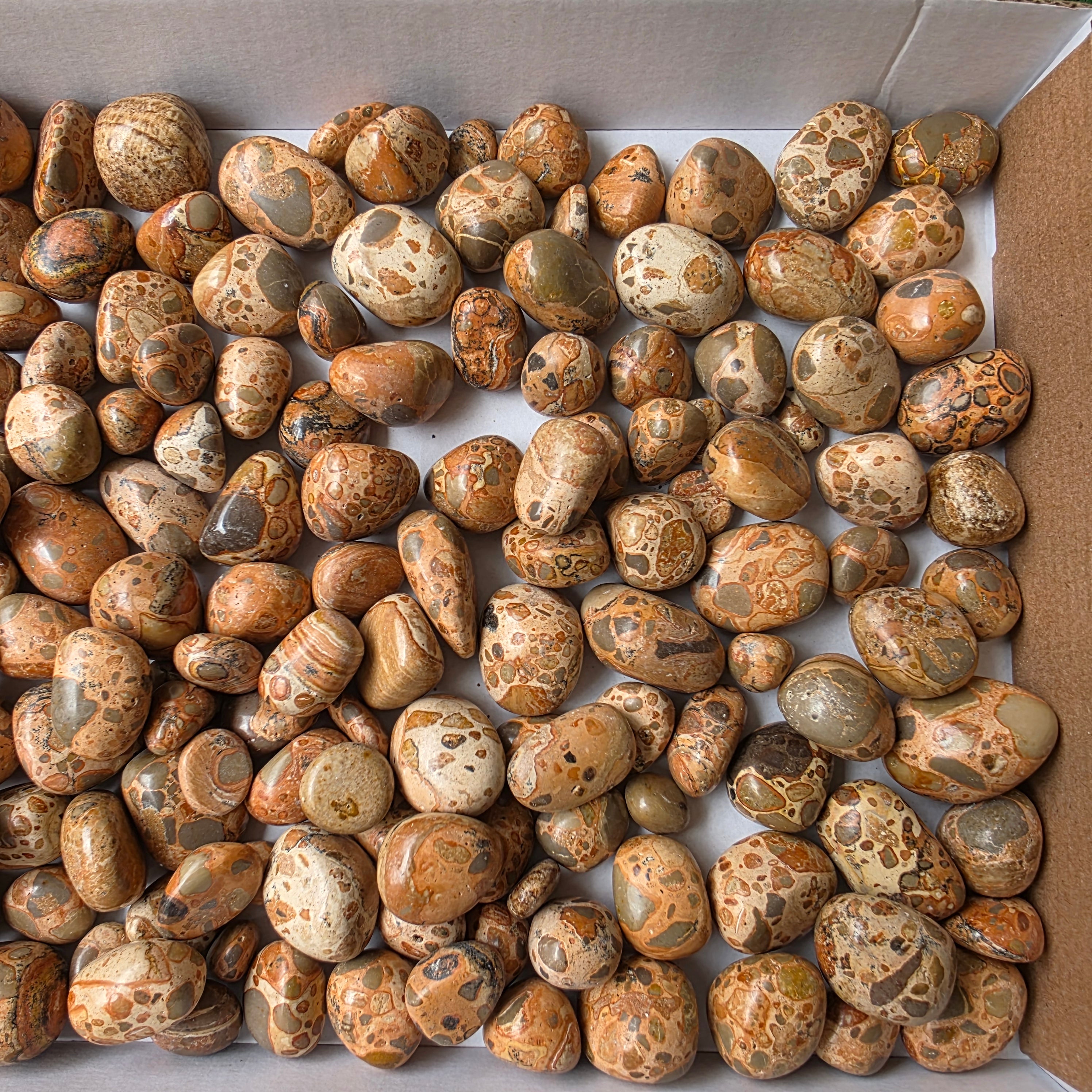 lot 2 kg Jaspe Leopardo tumbled