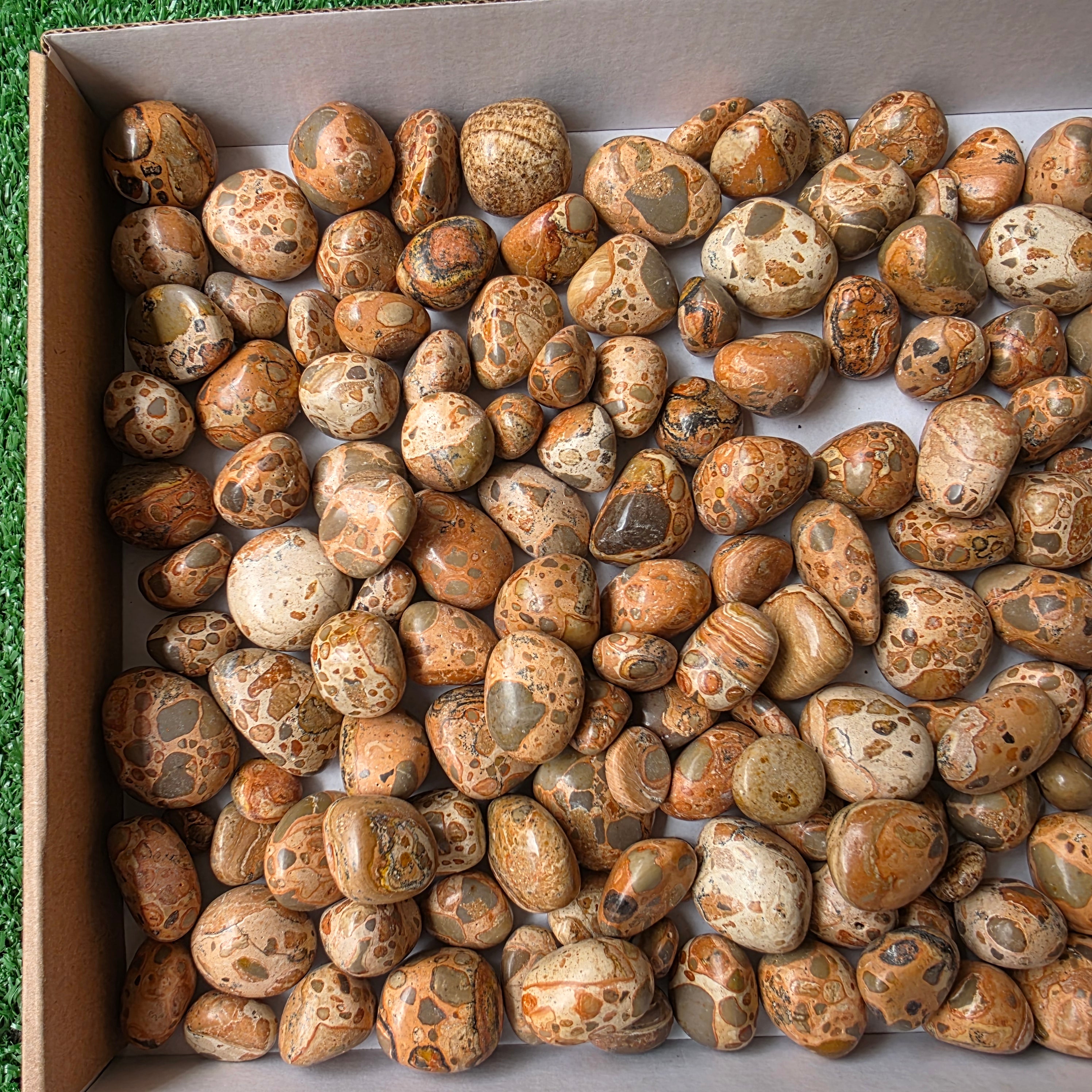 lot 2 kg Jaspe Leopardo tumbled