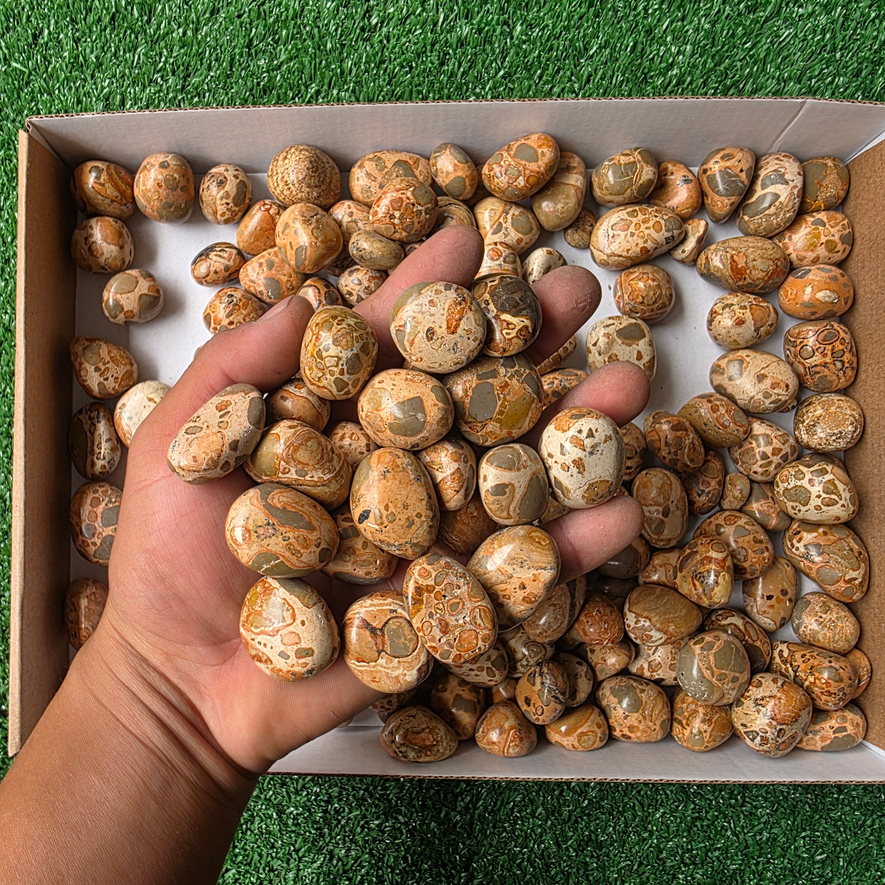 lot 2 kg Jaspe Leopardo tumbled