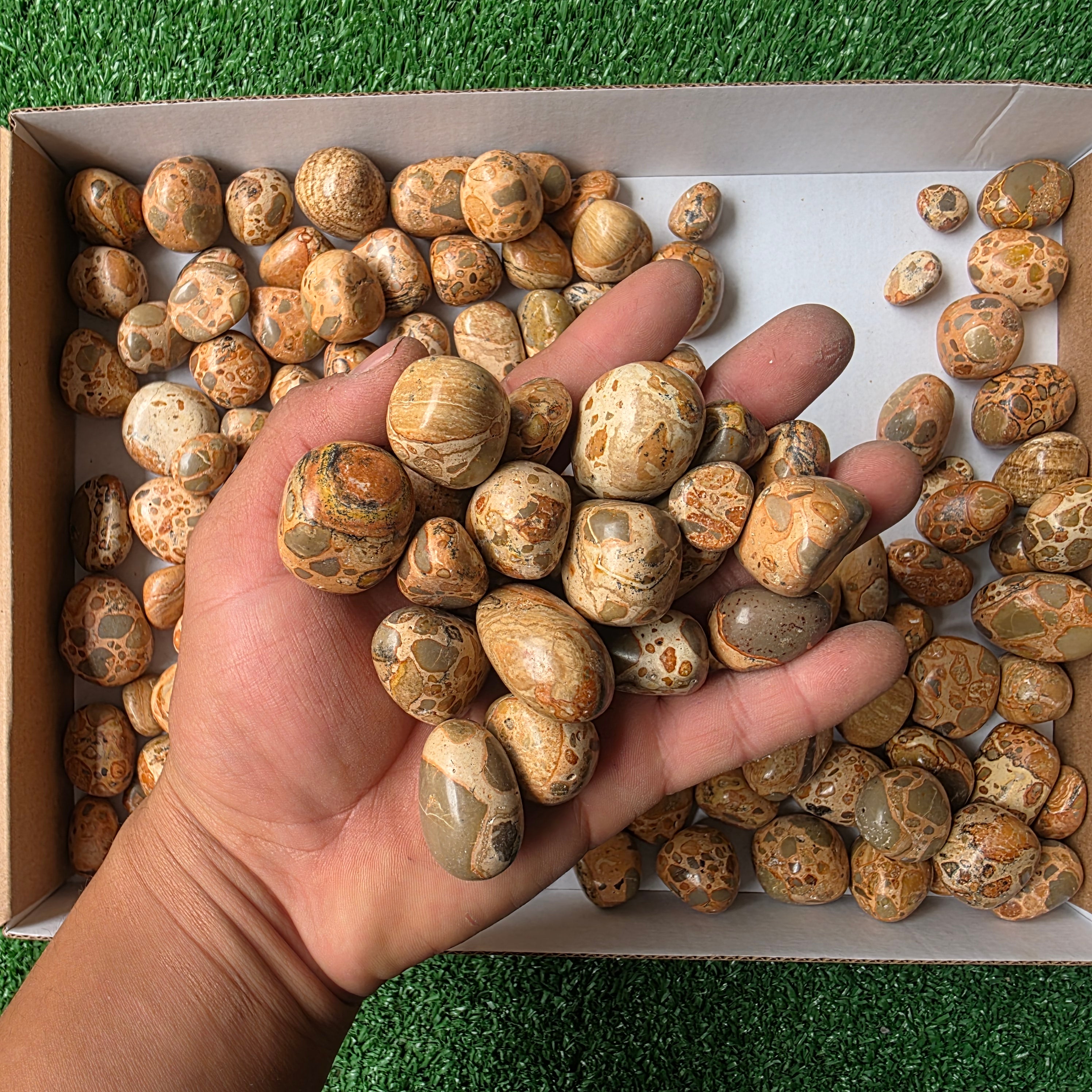 lot 2 kg Jaspe Leopardo tumbled