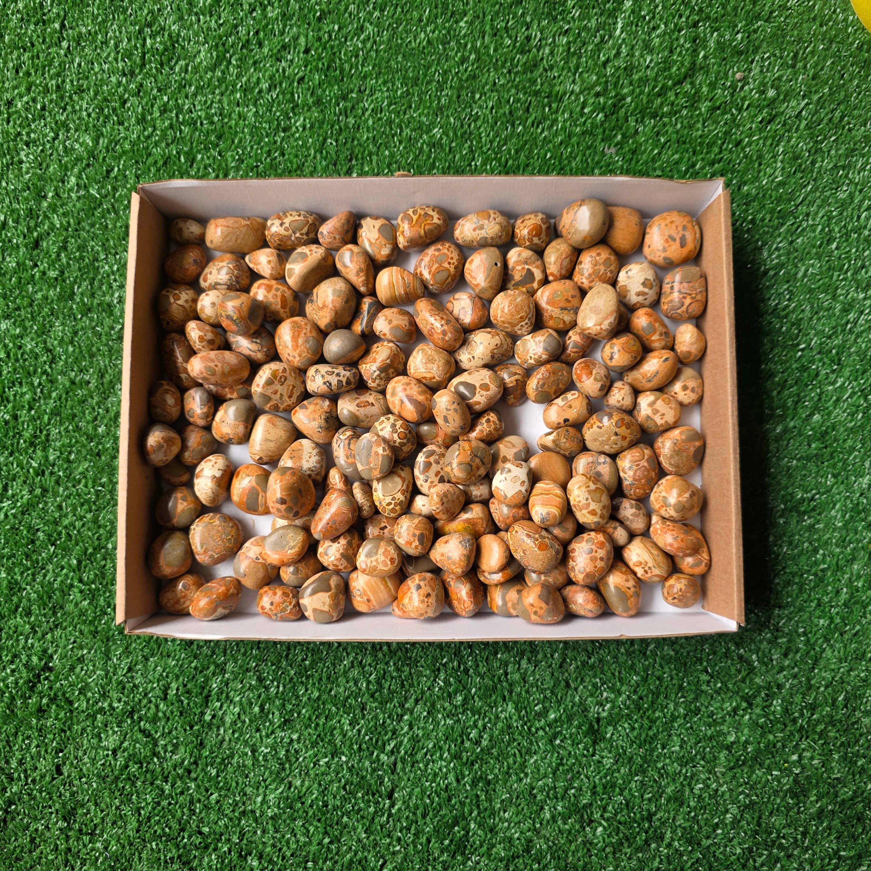 lot 2 kg Jaspe Leopardo tumbled