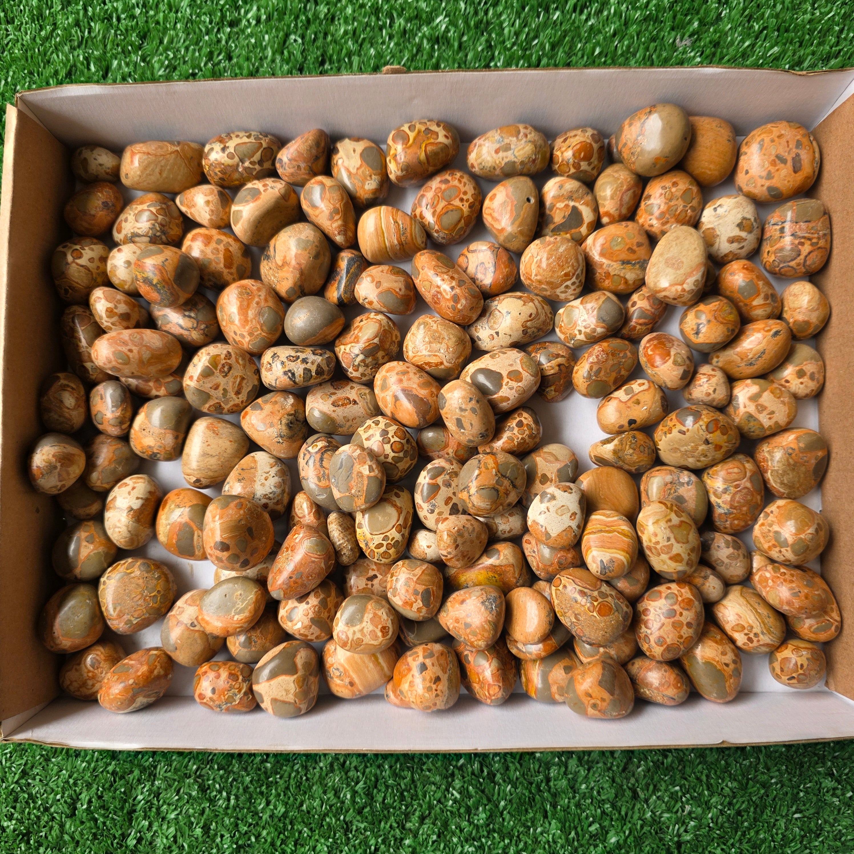 lot 2 kg Jaspe Leopardo tumbled