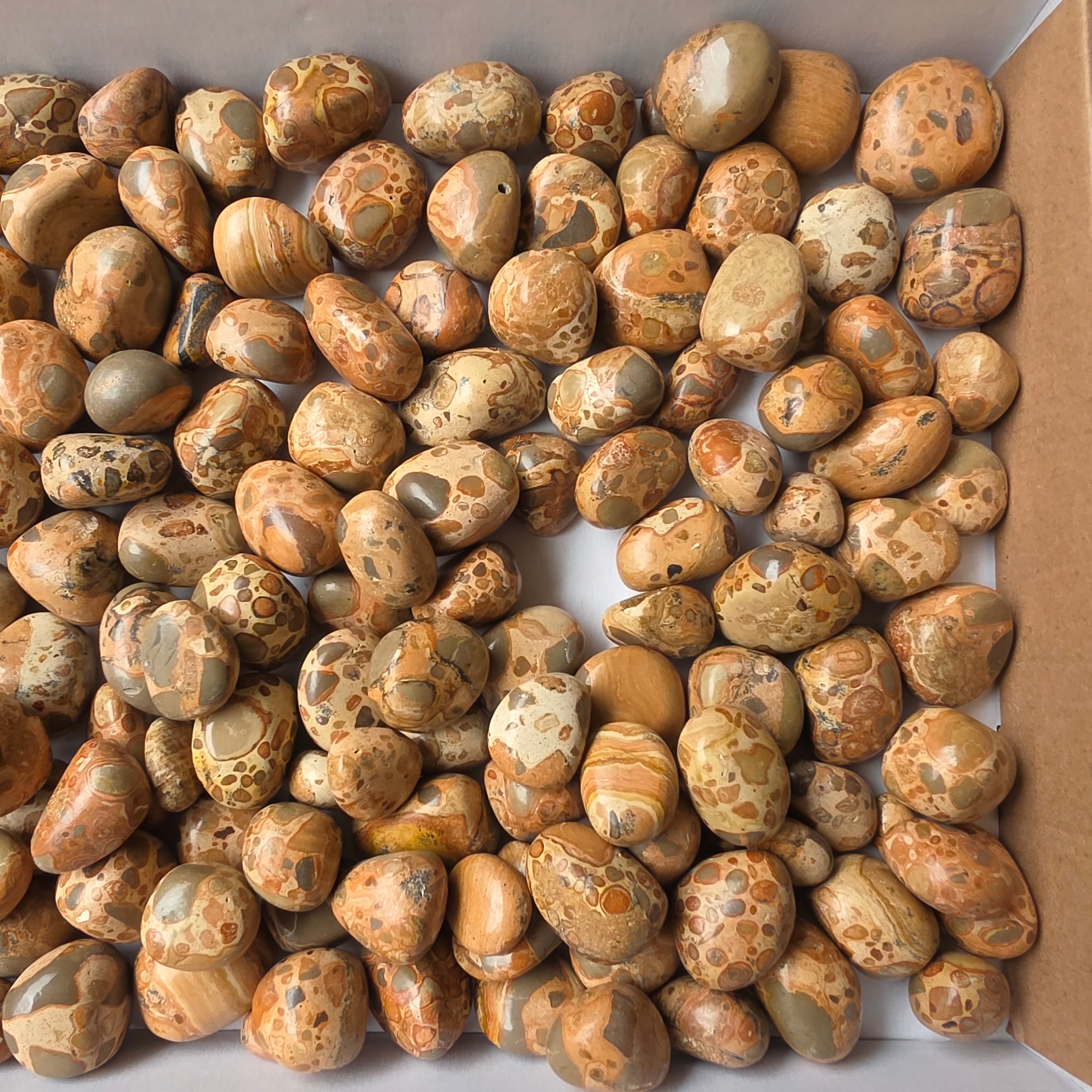 lot 2 kg Jaspe Leopardo tumbled