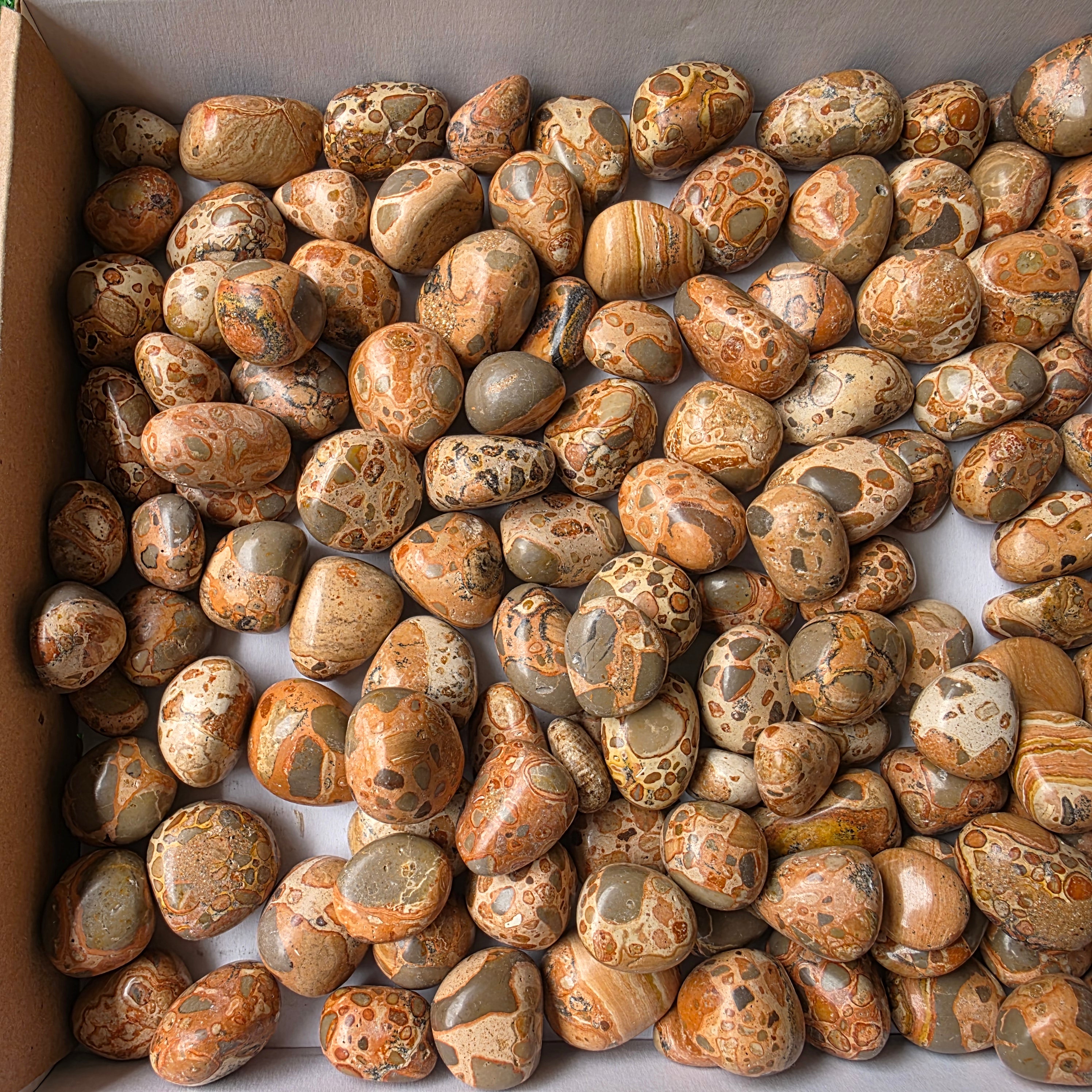 lot 2 kg Jaspe Leopardo tumbled
