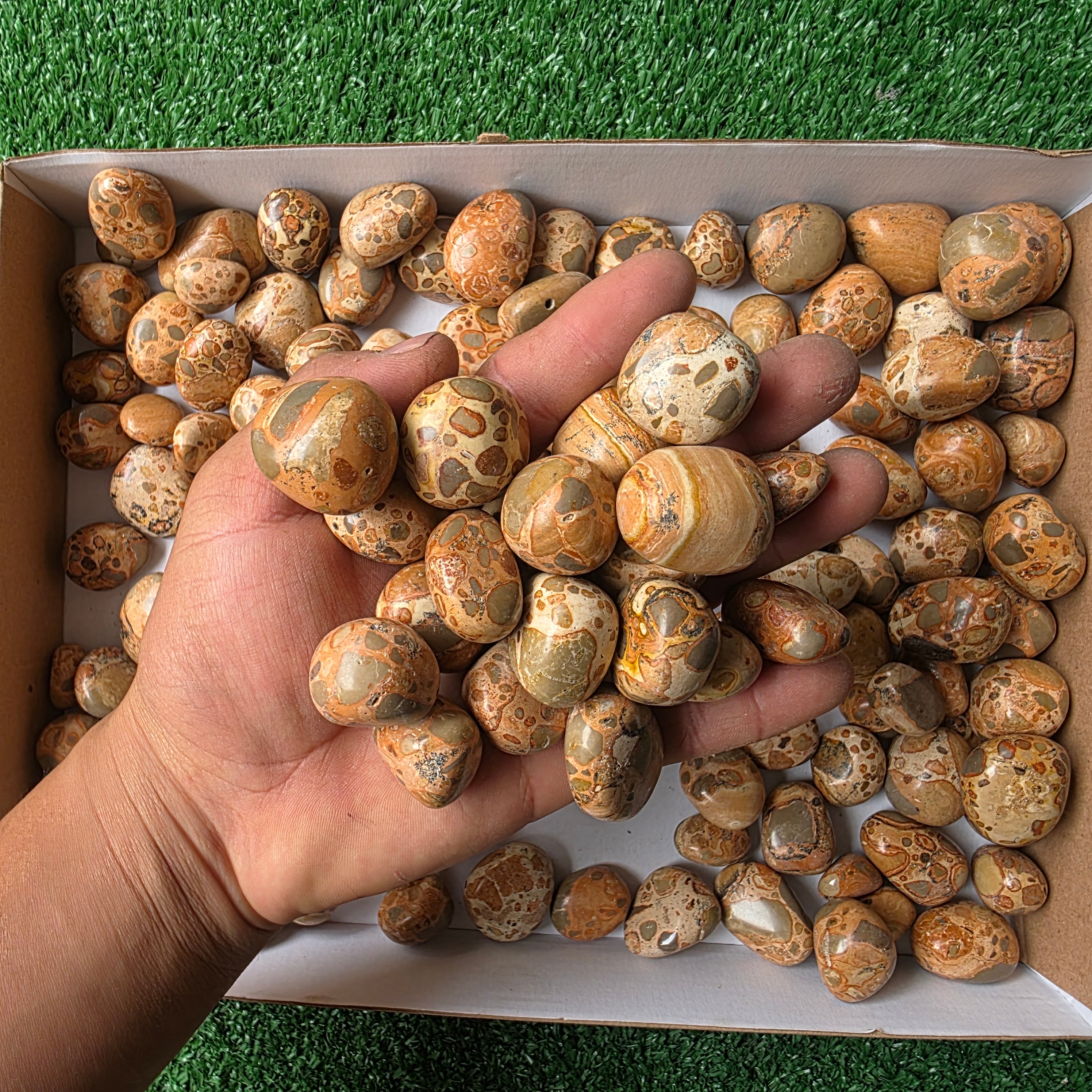 lot 2 kg Jaspe Leopardo tumbled