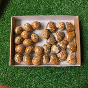 Lot 28 pcs Jaspe Leopardo Heart and Egg