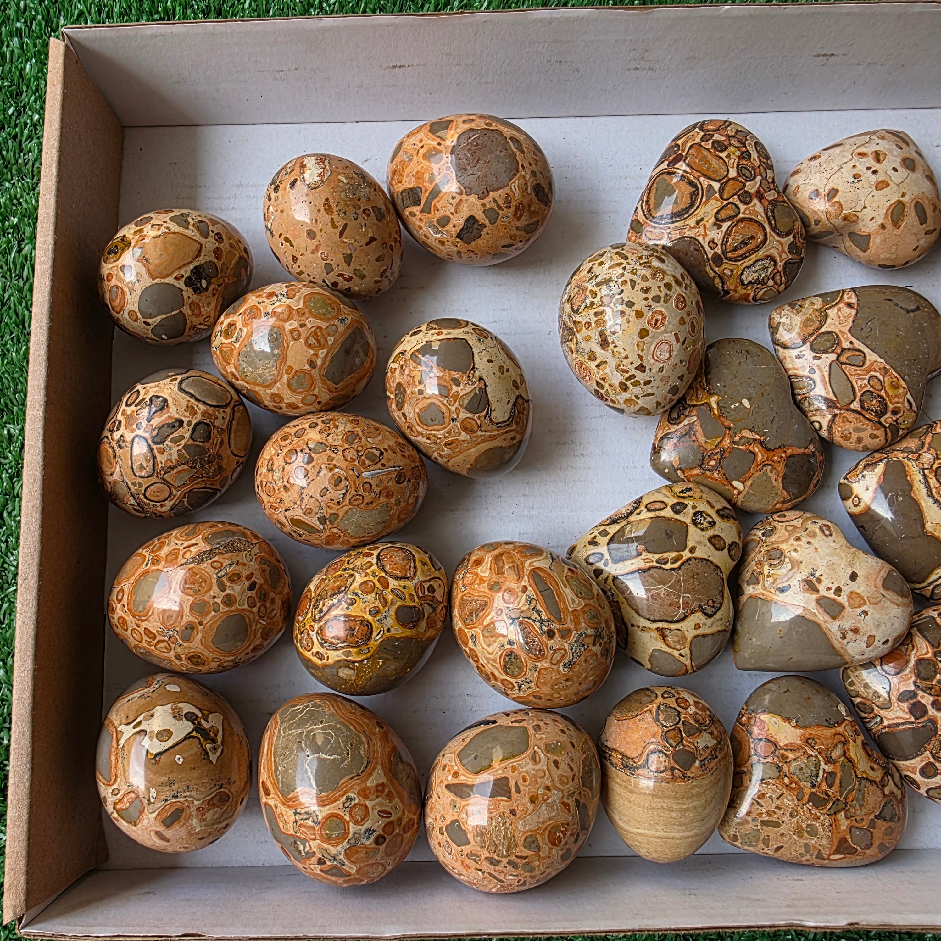 Lot 28 pcs Jaspe Leopardo Heart and Egg