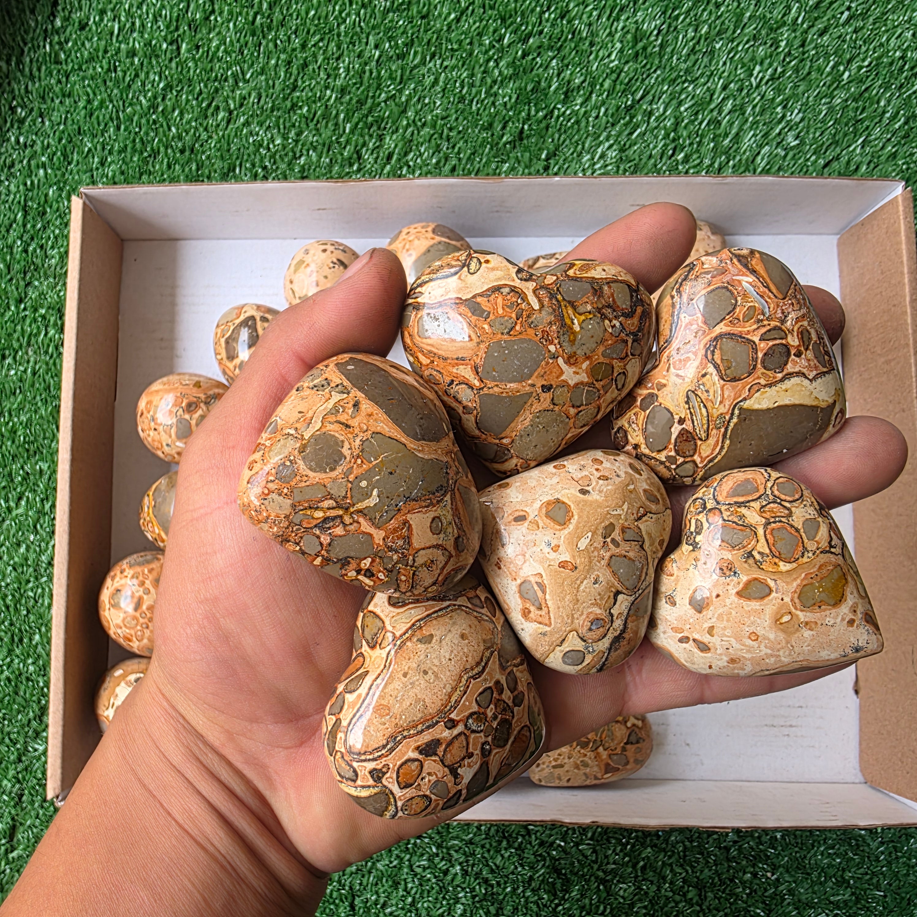 Lot 28 pcs Jaspe Leopardo Heart and Egg