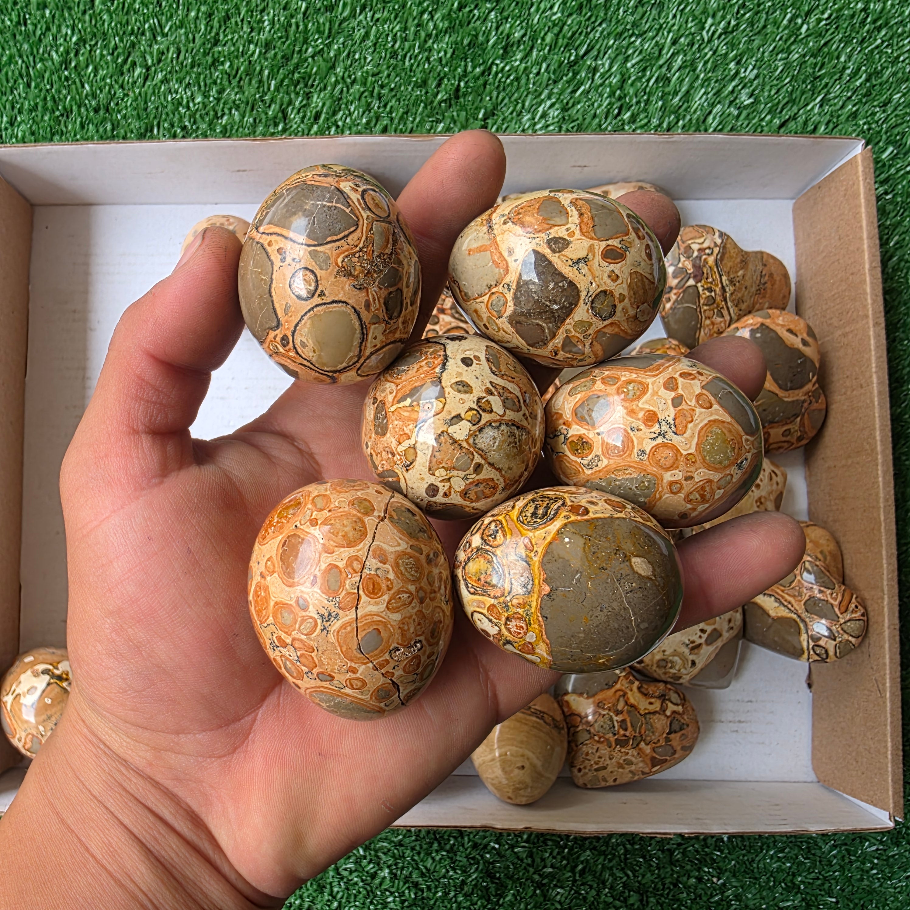 Lot 28 pcs Jaspe Leopardo Heart and Egg