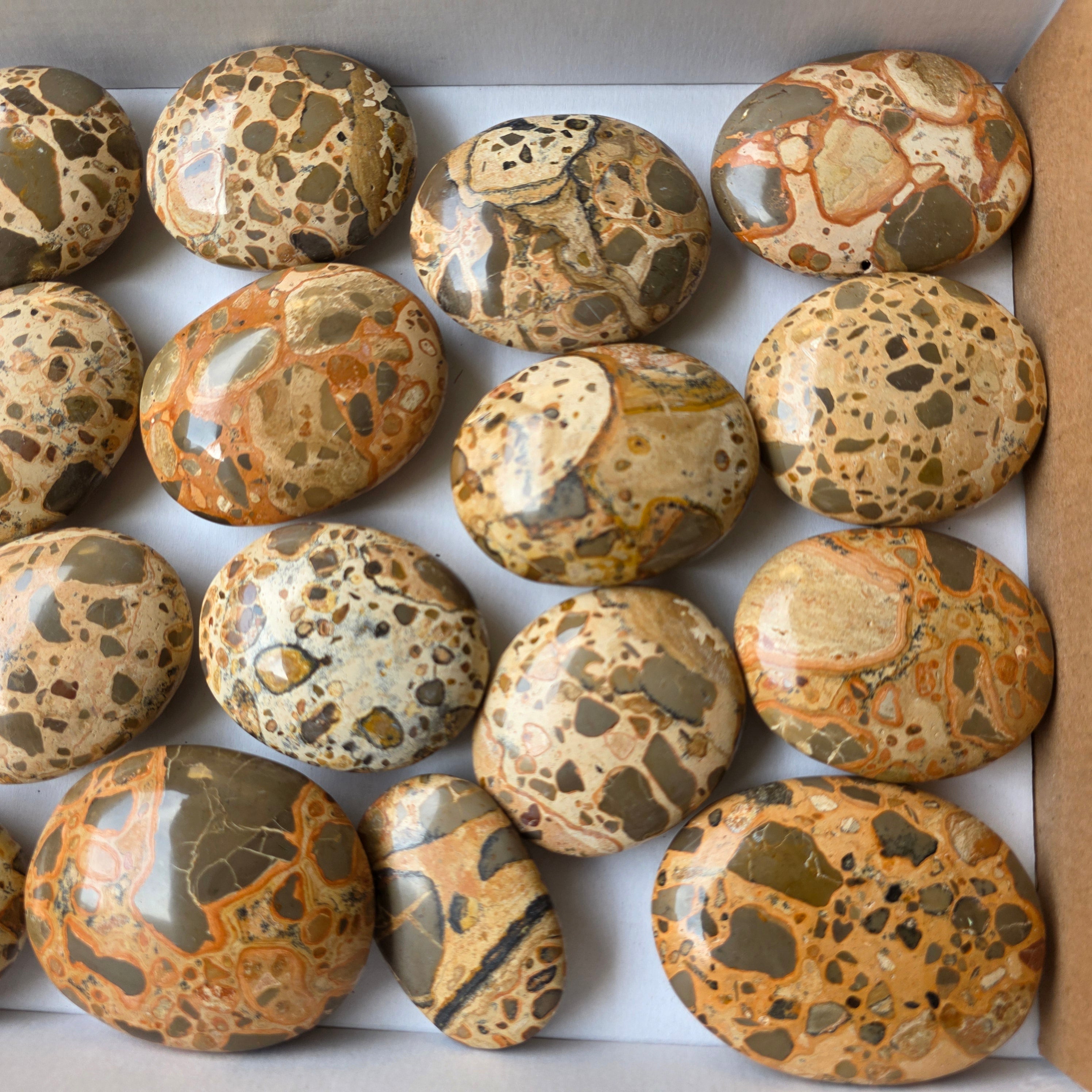 Lot 18 pcs Jaspe Leopardo Palm