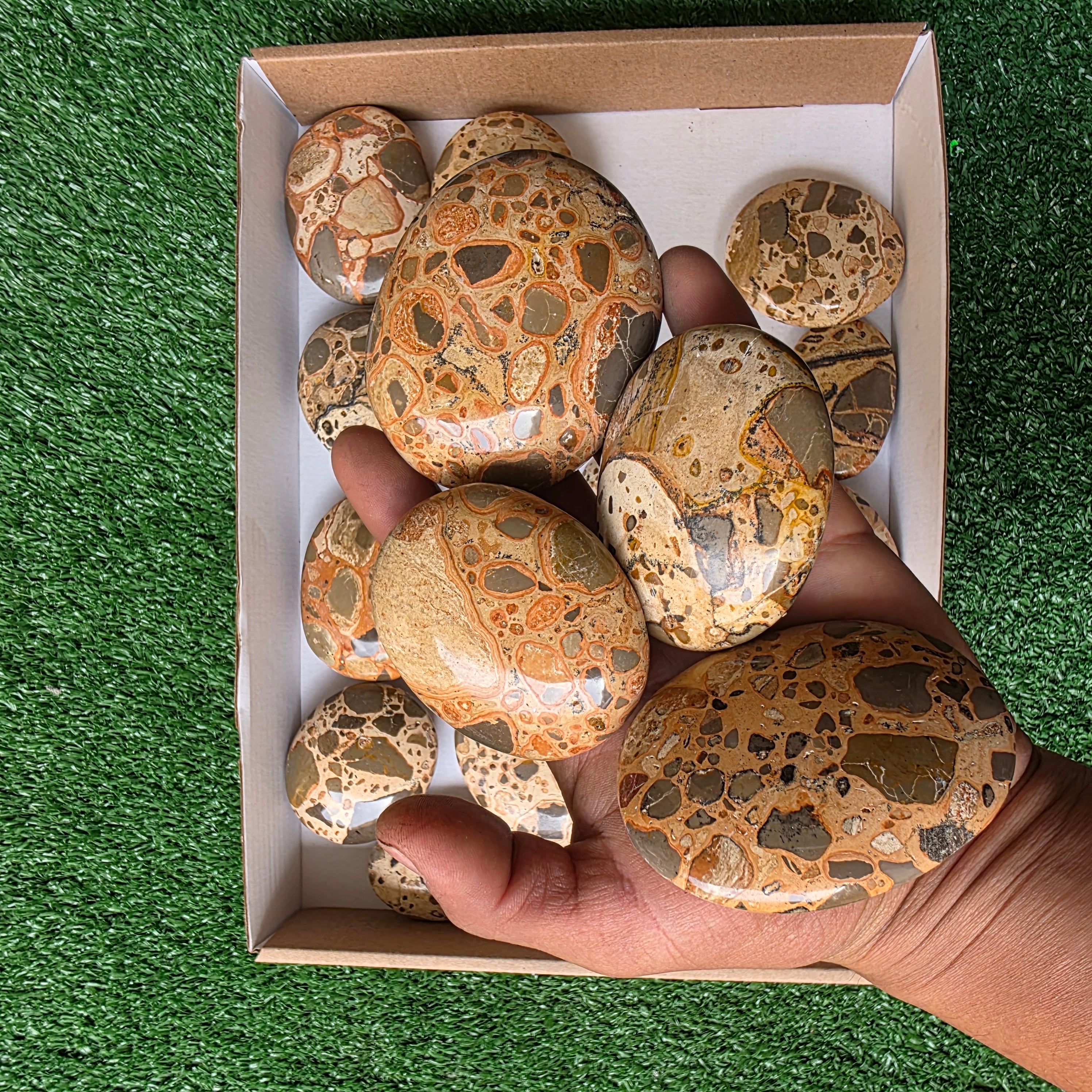 Lot 18 pcs Jaspe Leopardo Palm