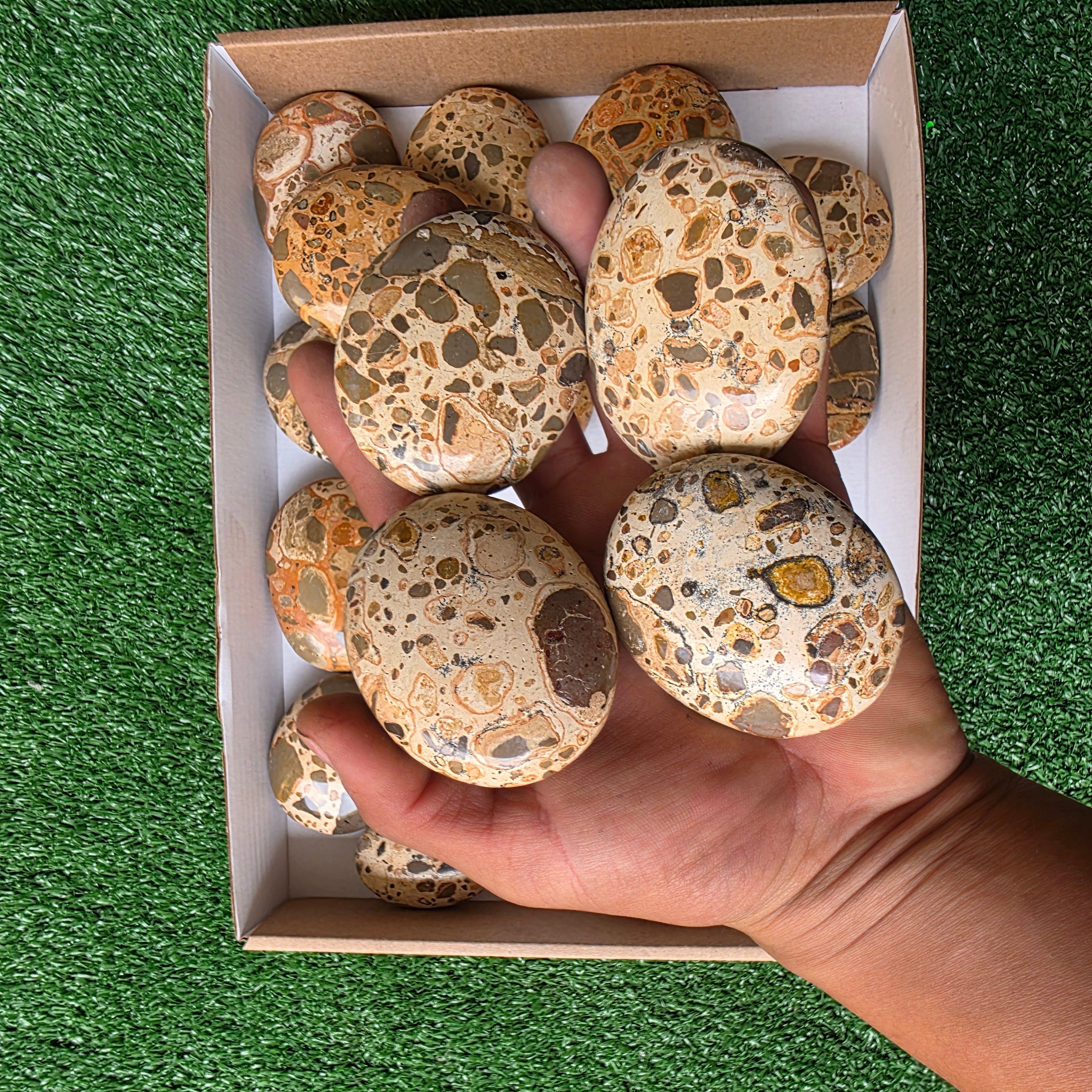 Lot 18 pcs Jaspe Leopardo Palm