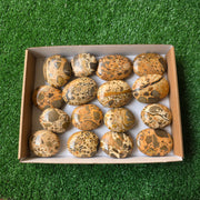 Lot 16 pcs Jaspe Leopardo Palm