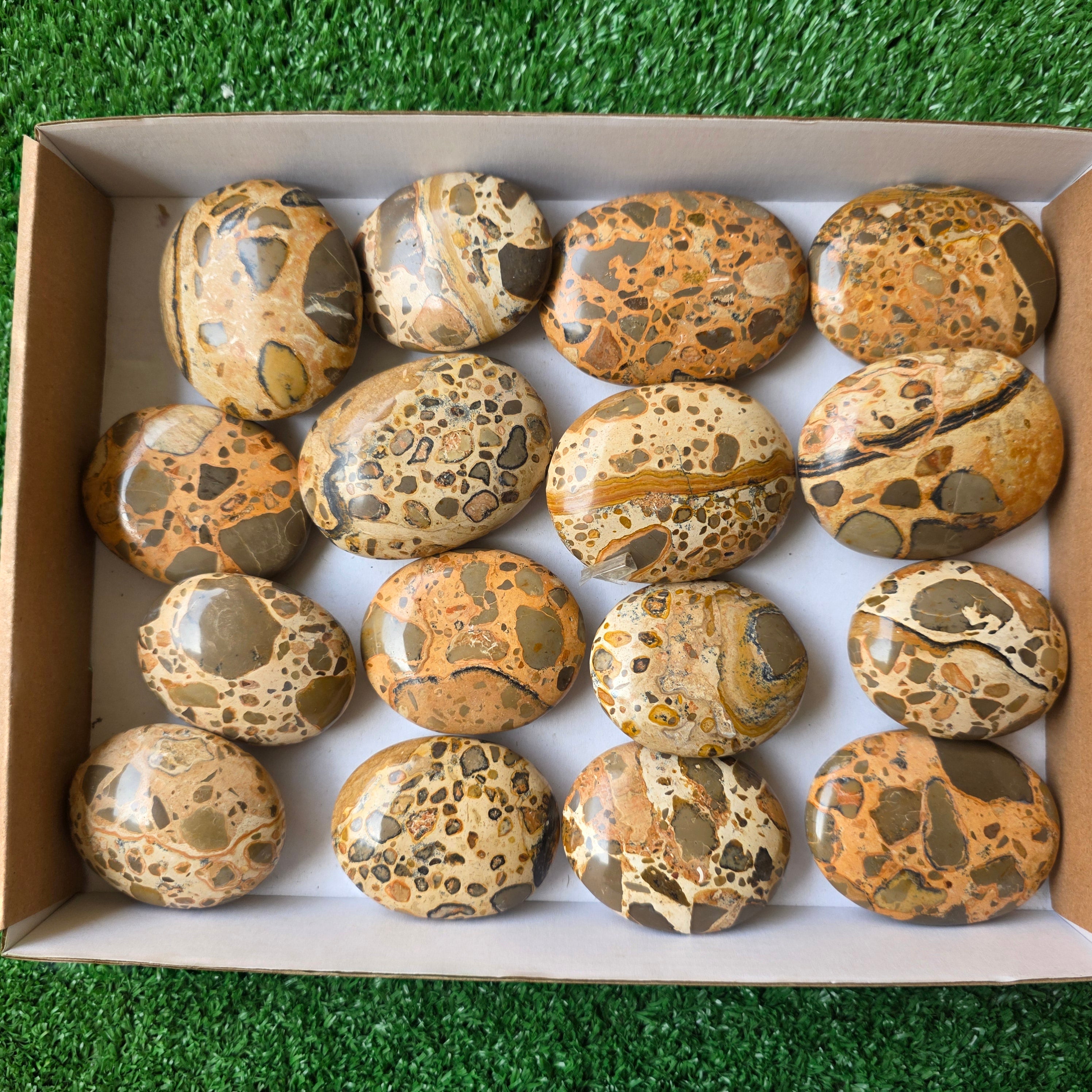 Lot 16 pcs Jaspe Leopardo Palm
