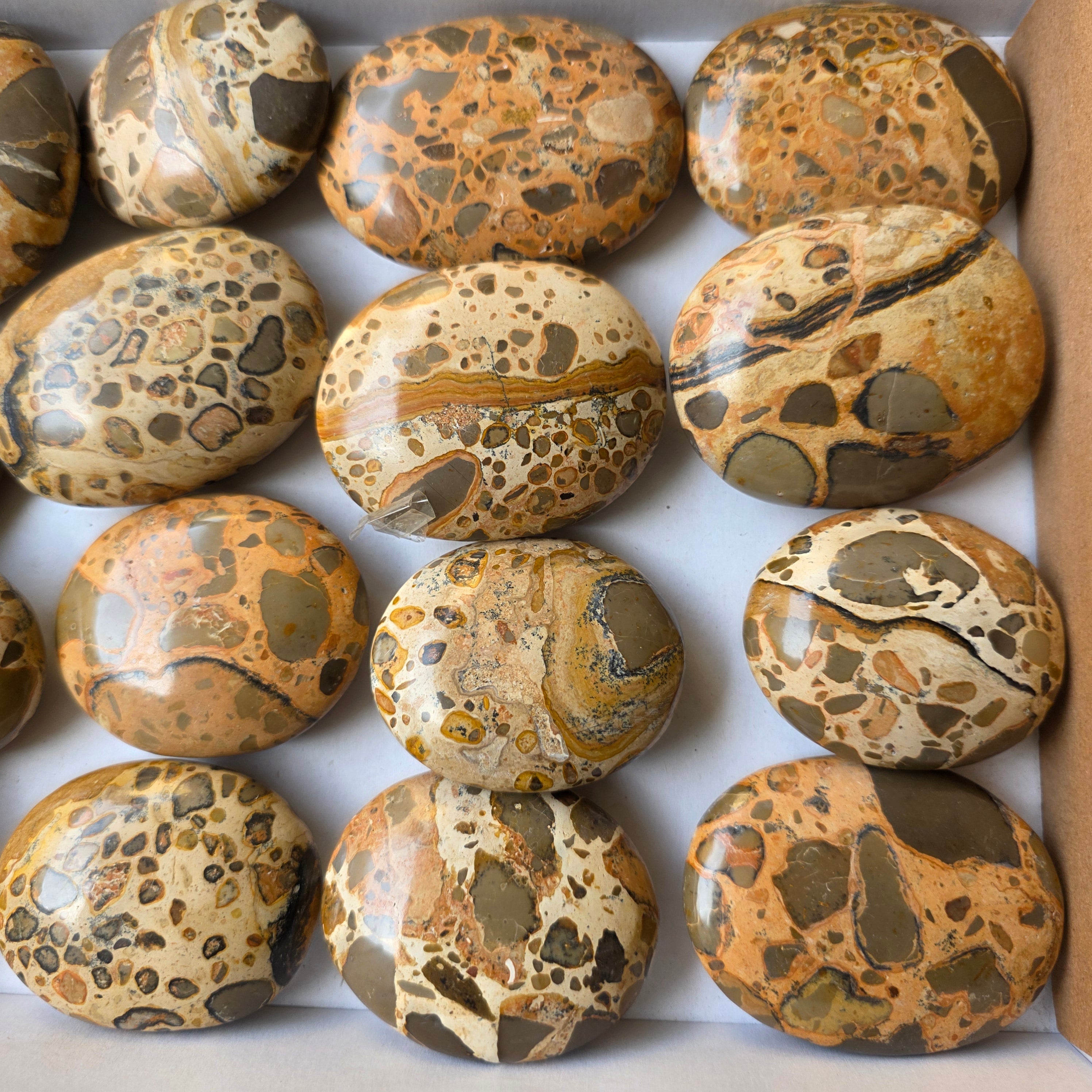 Lot 16 pcs Jaspe Leopardo Palm