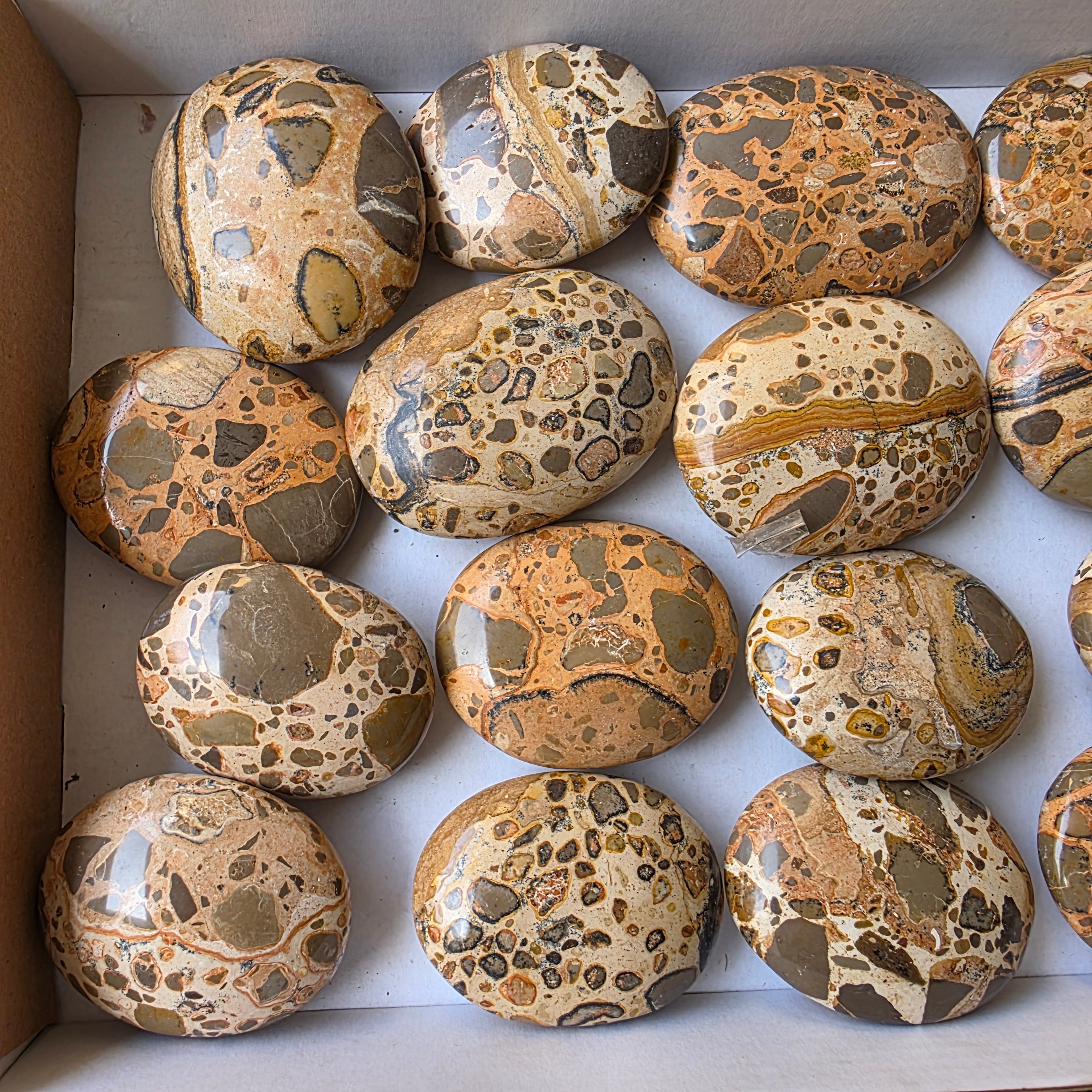 Lot 16 pcs Jaspe Leopardo Palm