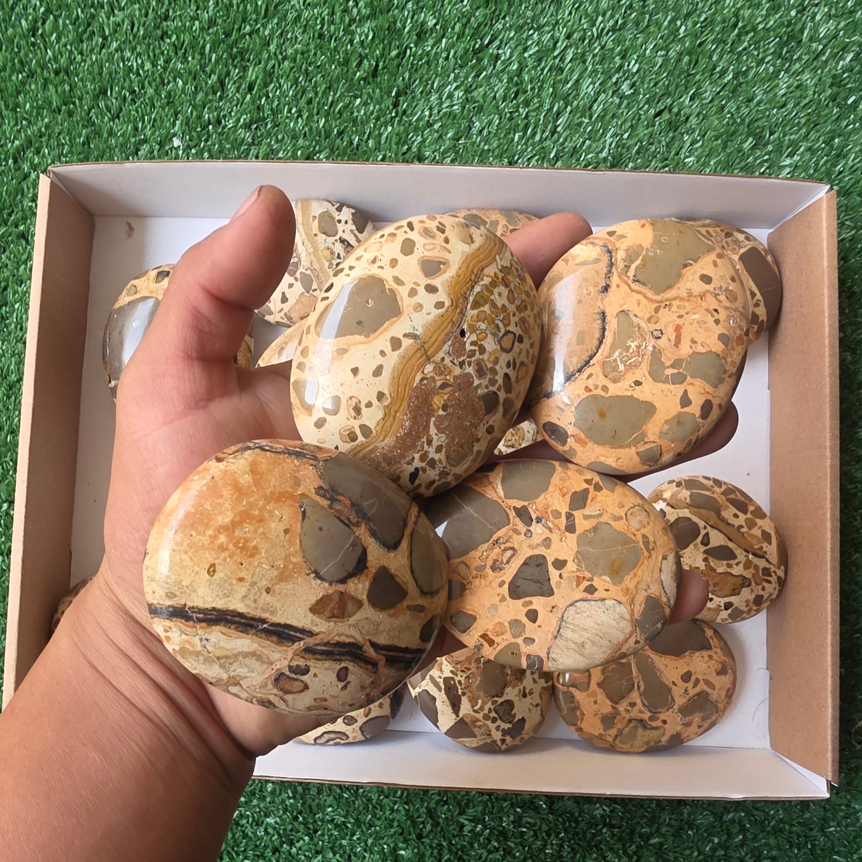 Lot 16 pcs Jaspe Leopardo Palm