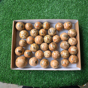 Lot 35 pcs Leopardite Sphere