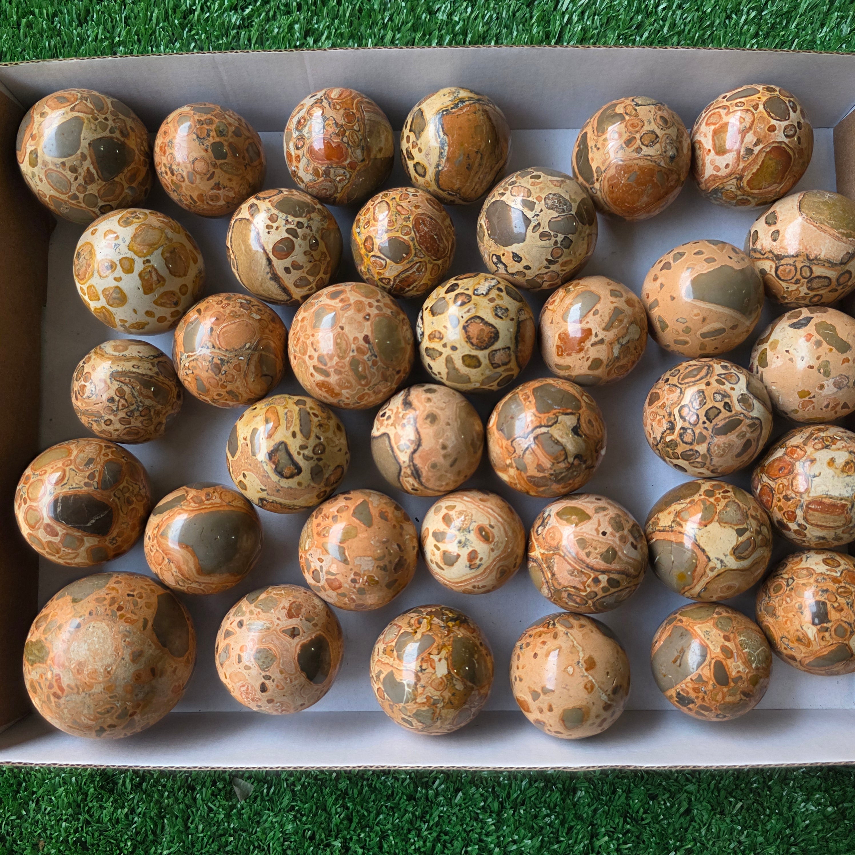 Lot 35 pcs Leopardite Sphere