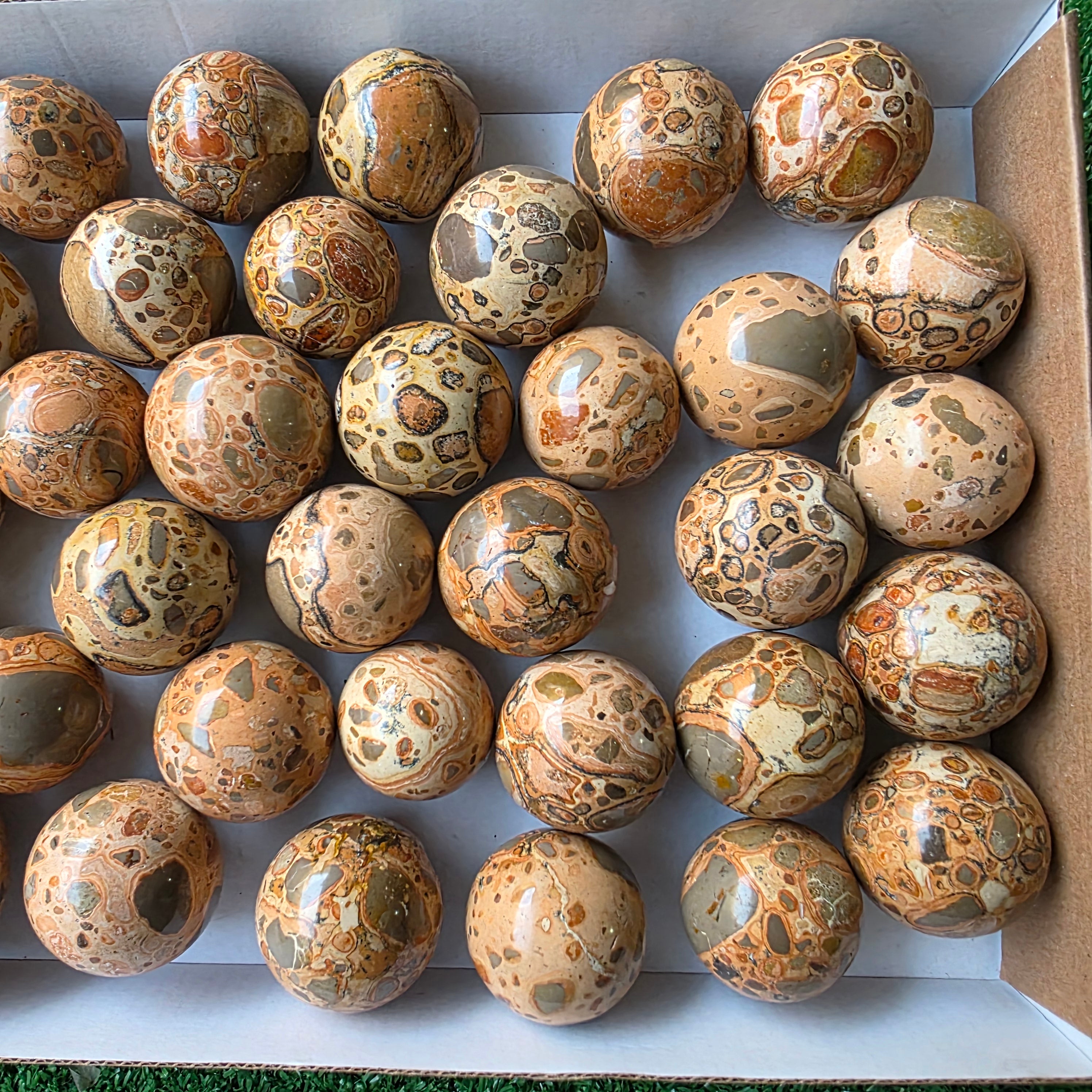 Lot 35 pcs Leopardite Sphere