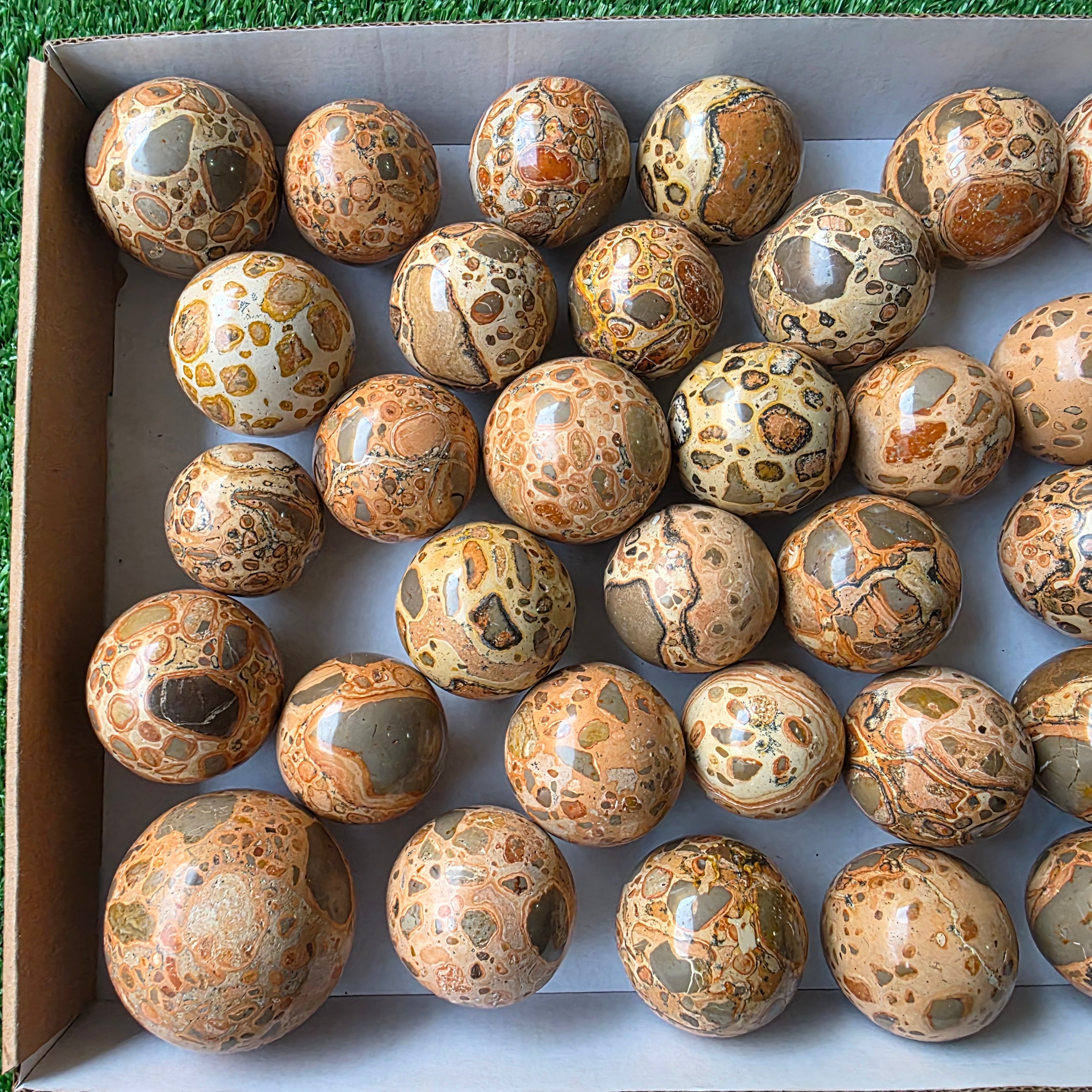Lot 35 pcs Leopardite Sphere