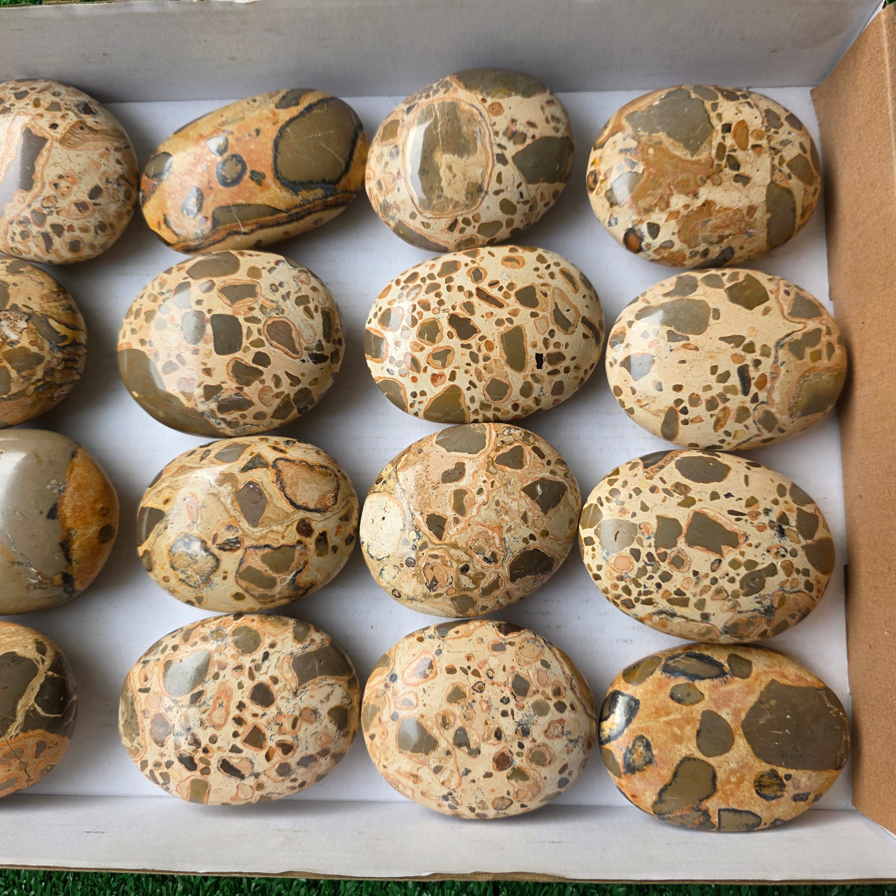 Lot 16 pcs Leopardite Palm