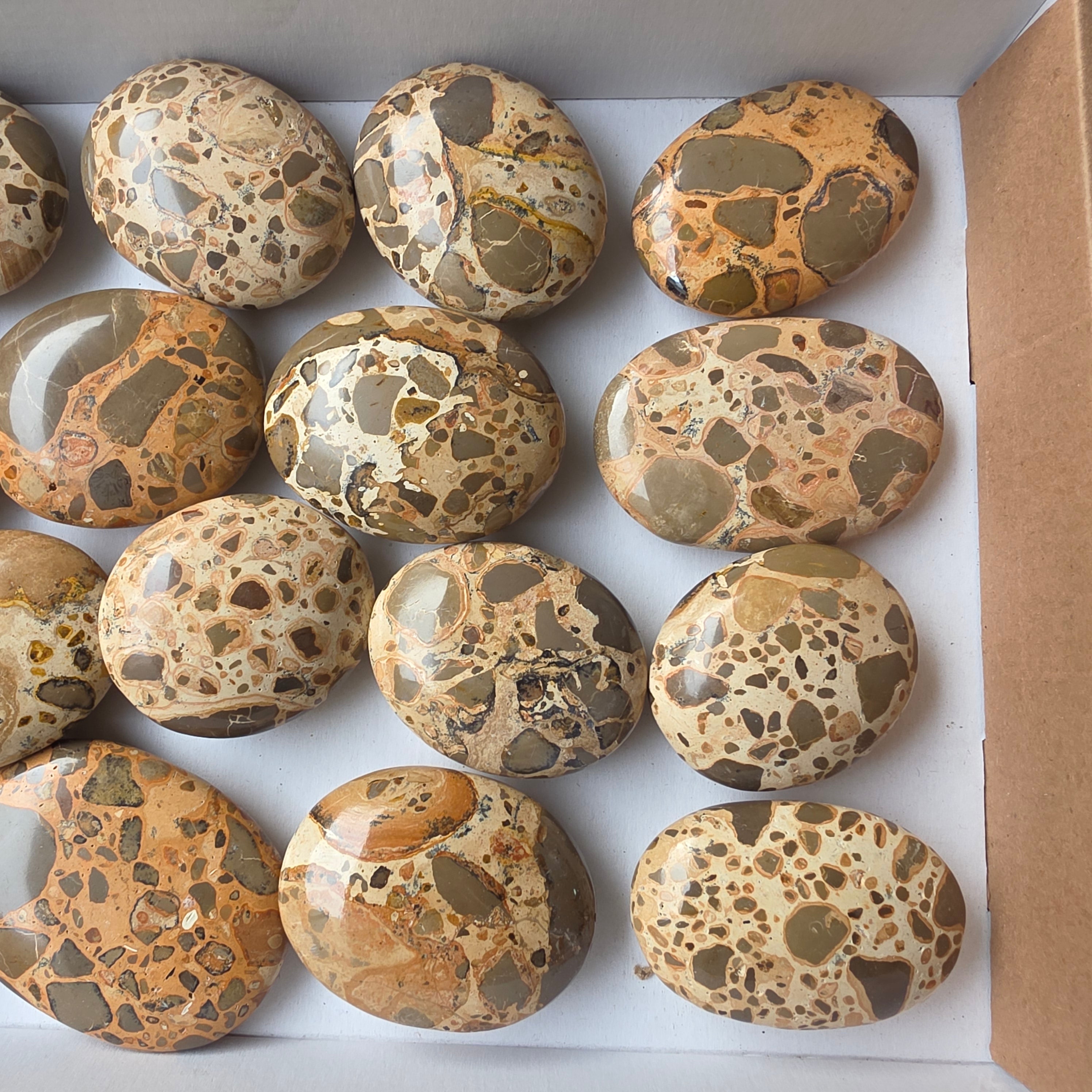 Lot 16 pcs Leopardite Palm