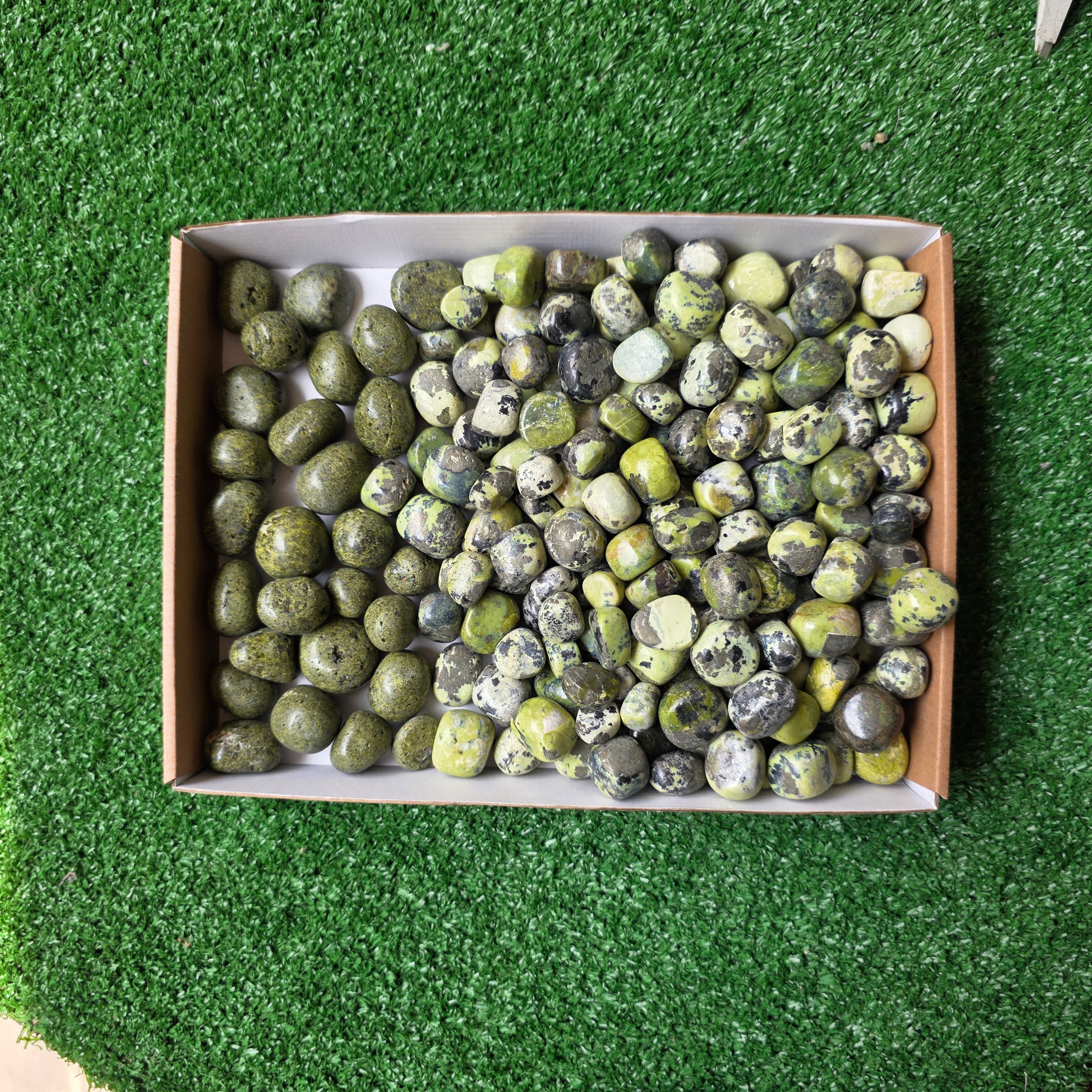 Lot 3.8 kg Epidote and Serpentine Tumbled