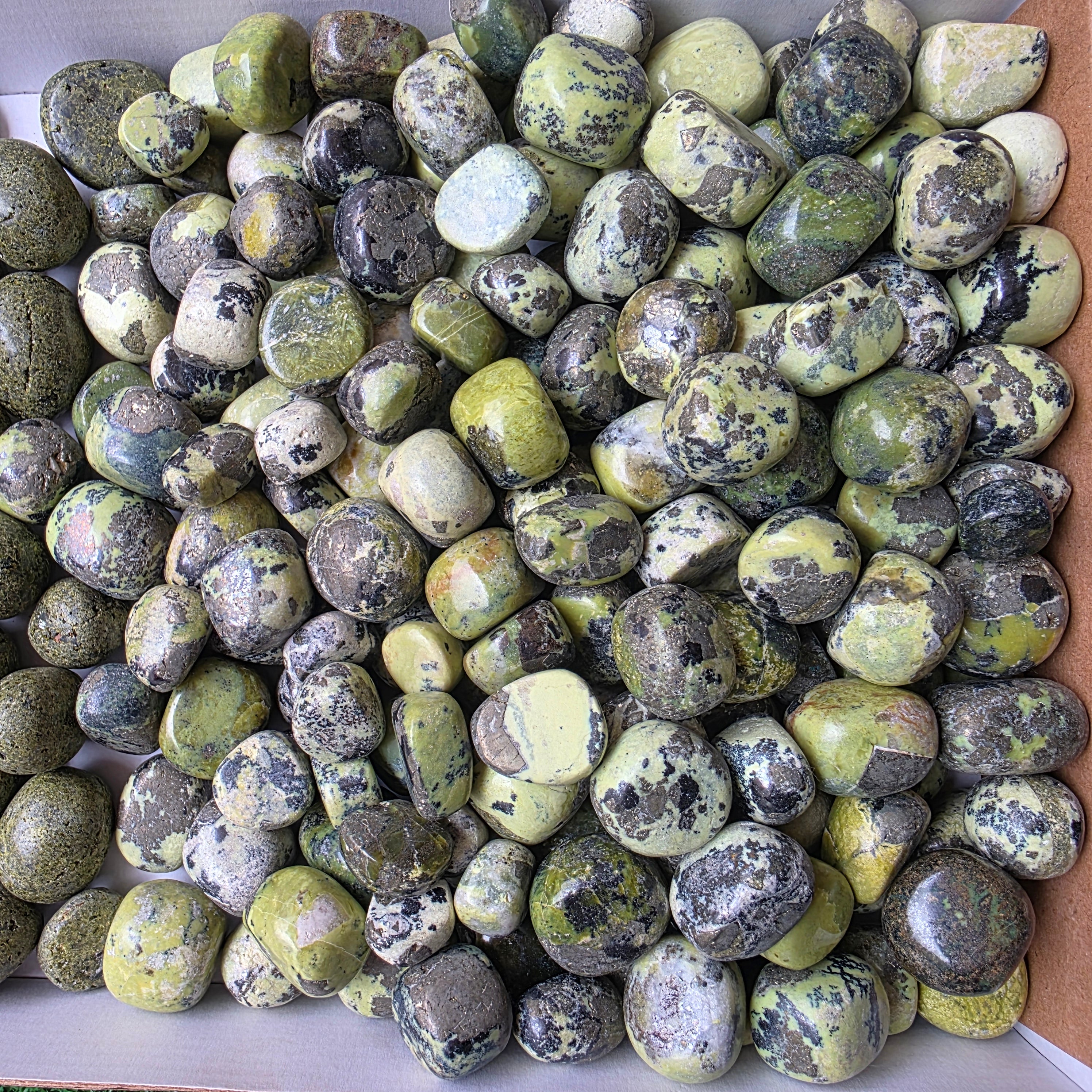 Lot 3.8 kg Epidote and Serpentine Tumbled