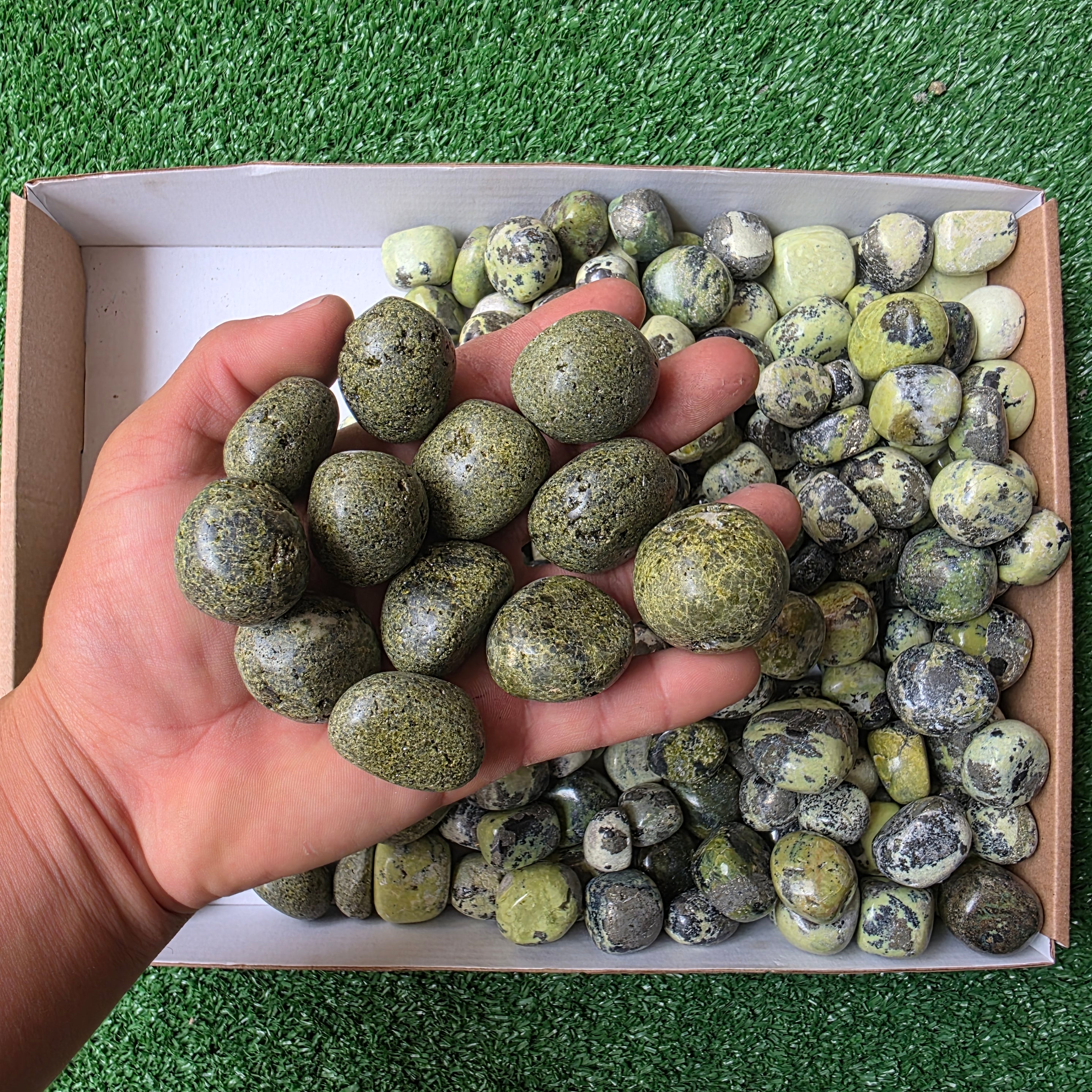 Lot 3.8 kg Epidote and Serpentine Tumbled