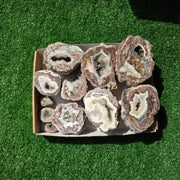 lot 11 pcs Quartz Geode