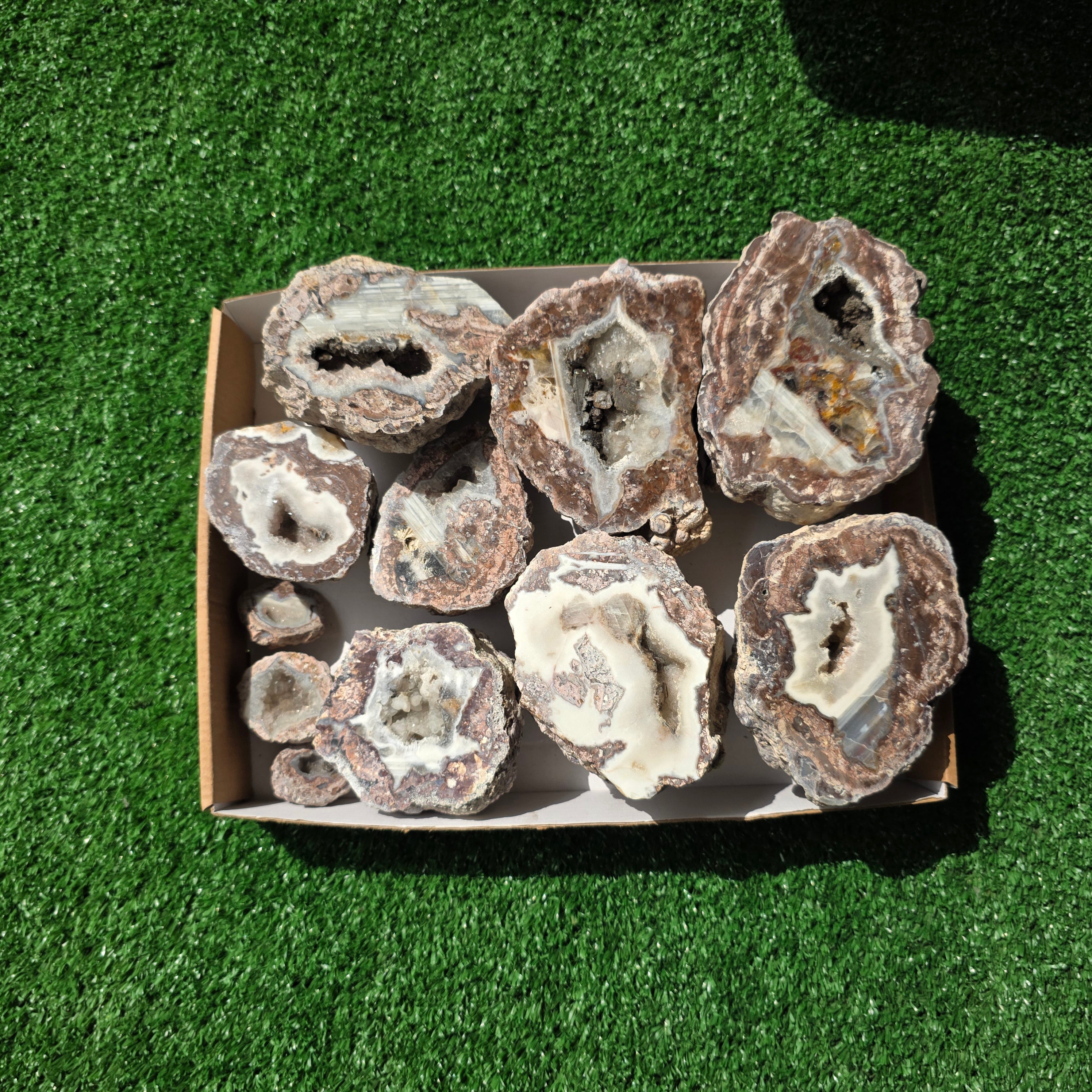 lot 11 pcs Quartz Geode