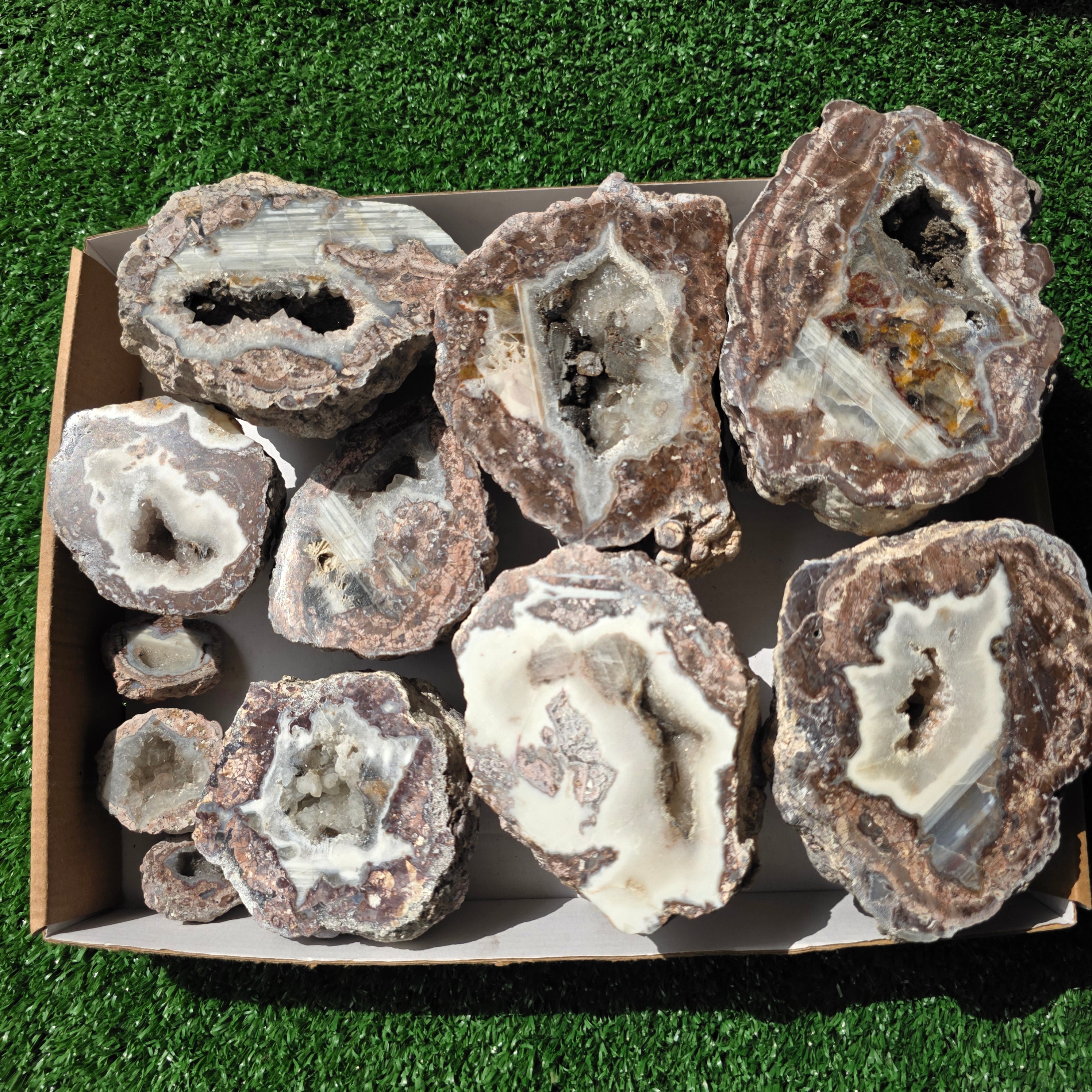 lot 11 pcs Quartz Geode