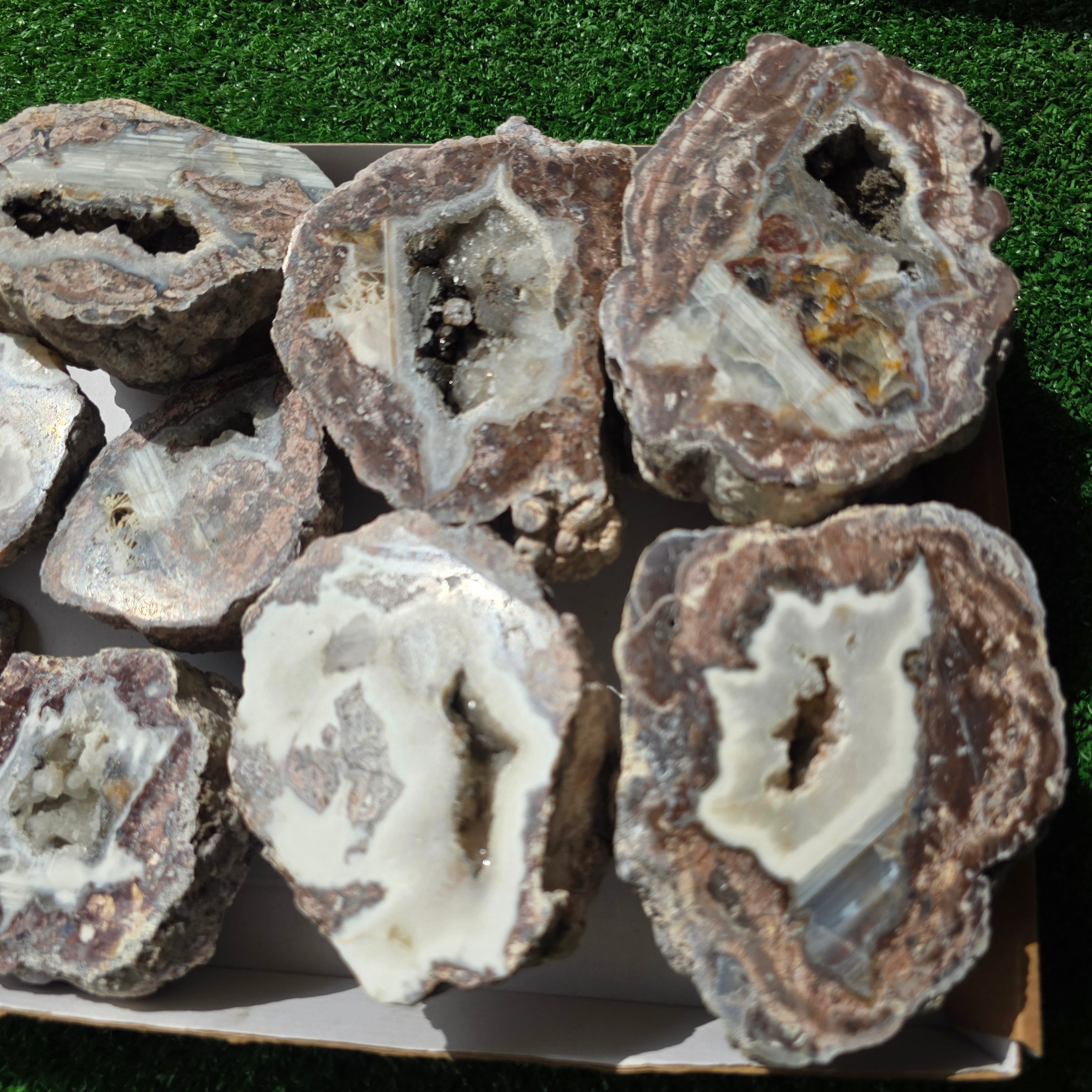 lot 11 pcs Quartz Geode