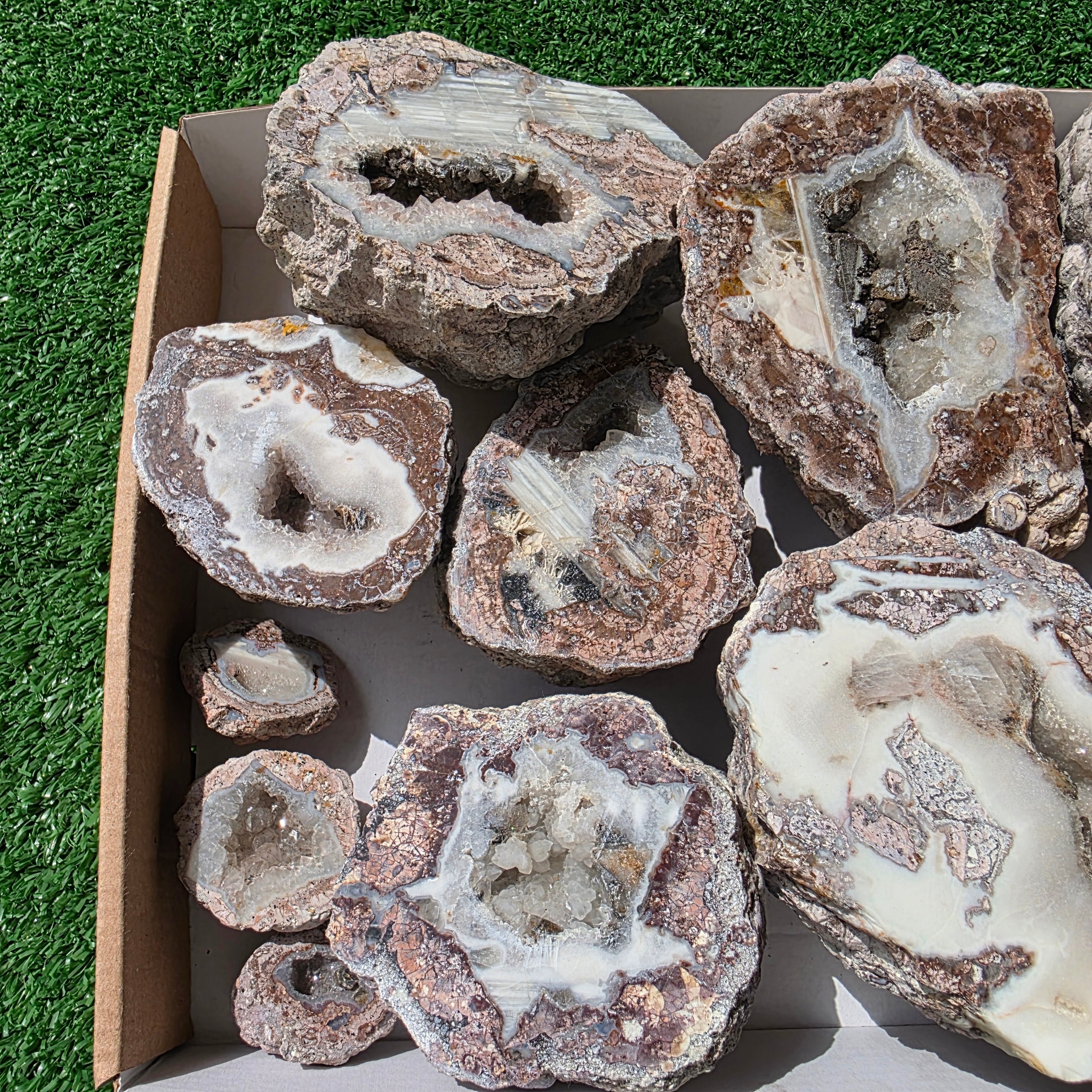 lot 11 pcs Quartz Geode