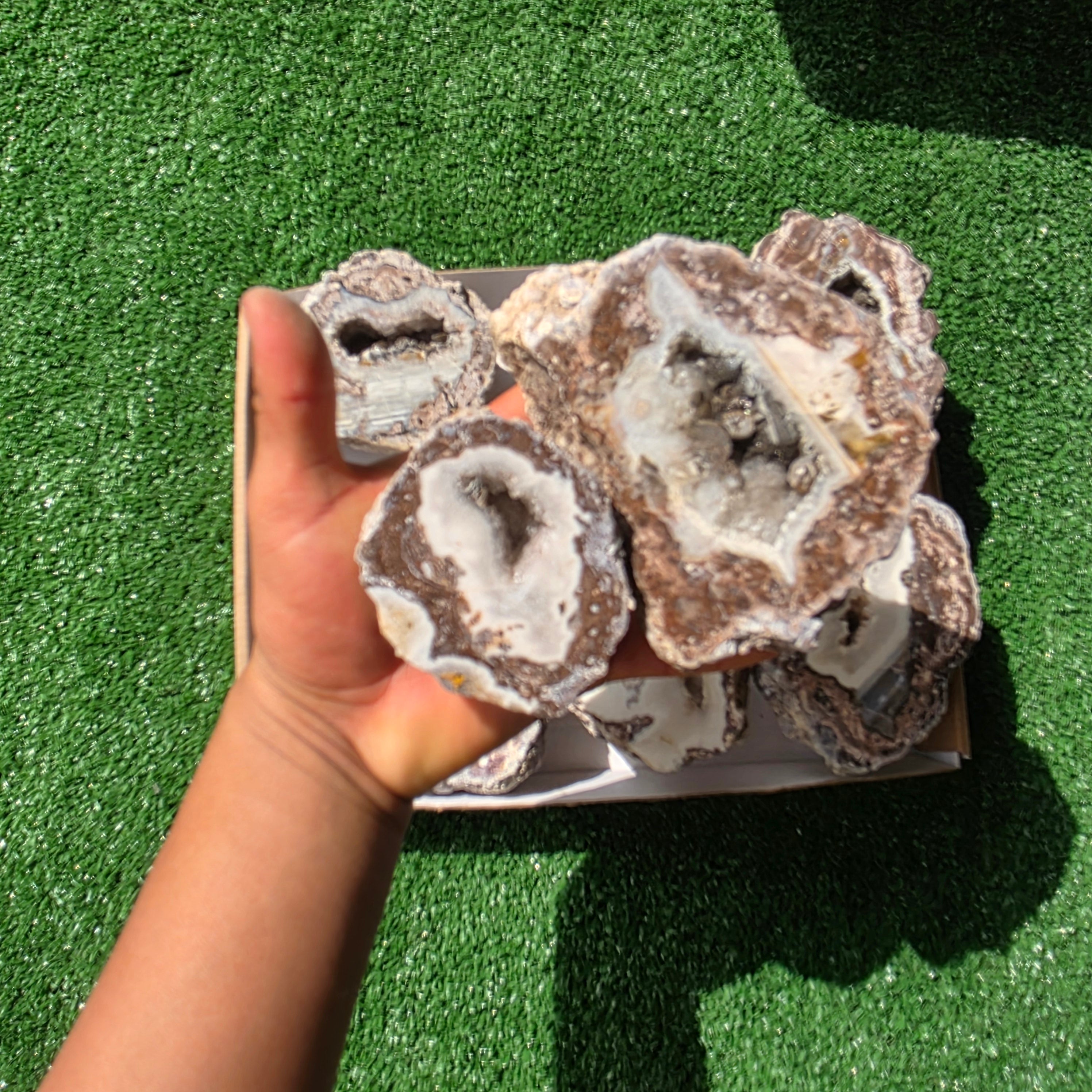 lot 11 pcs Quartz Geode