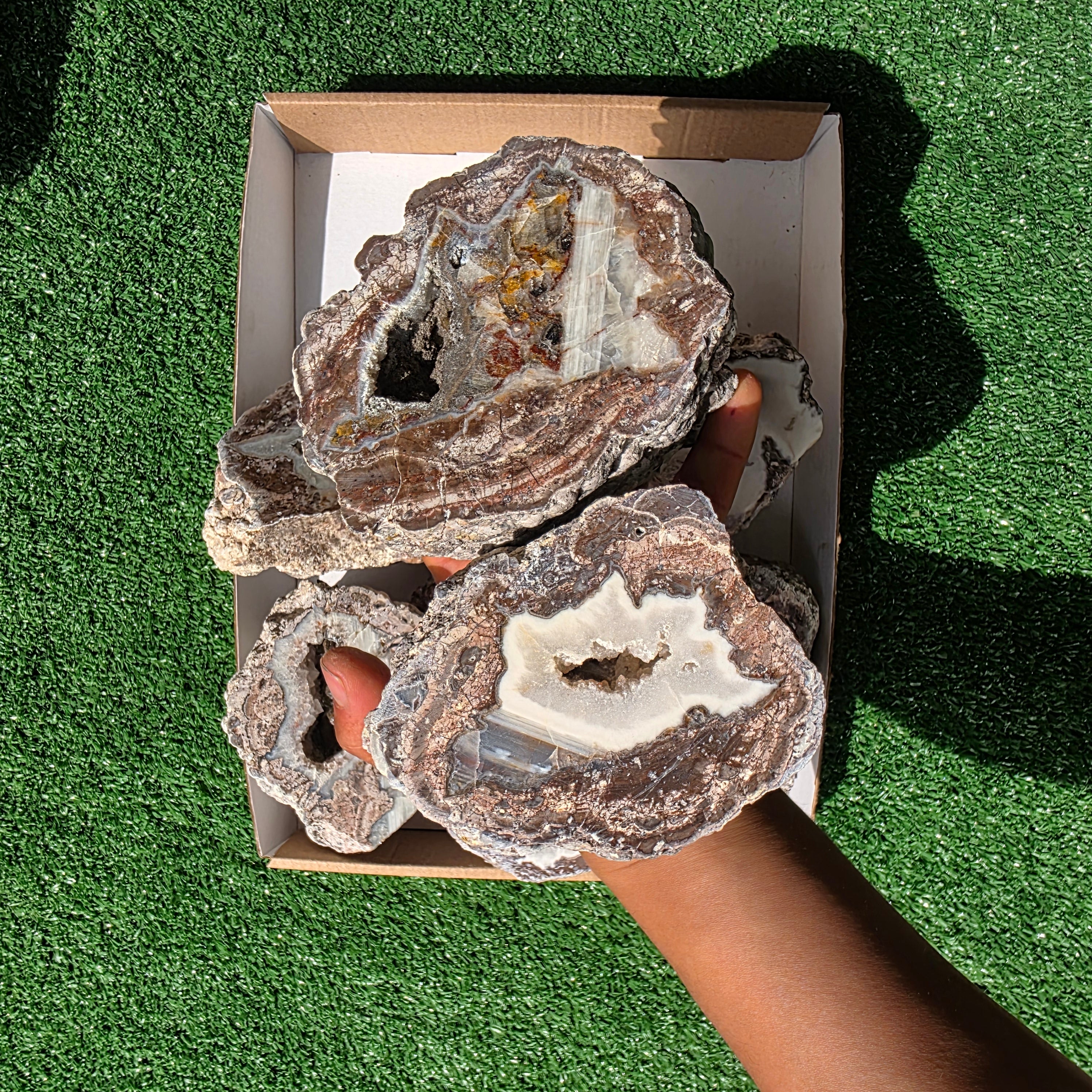 lot 11 pcs Quartz Geode