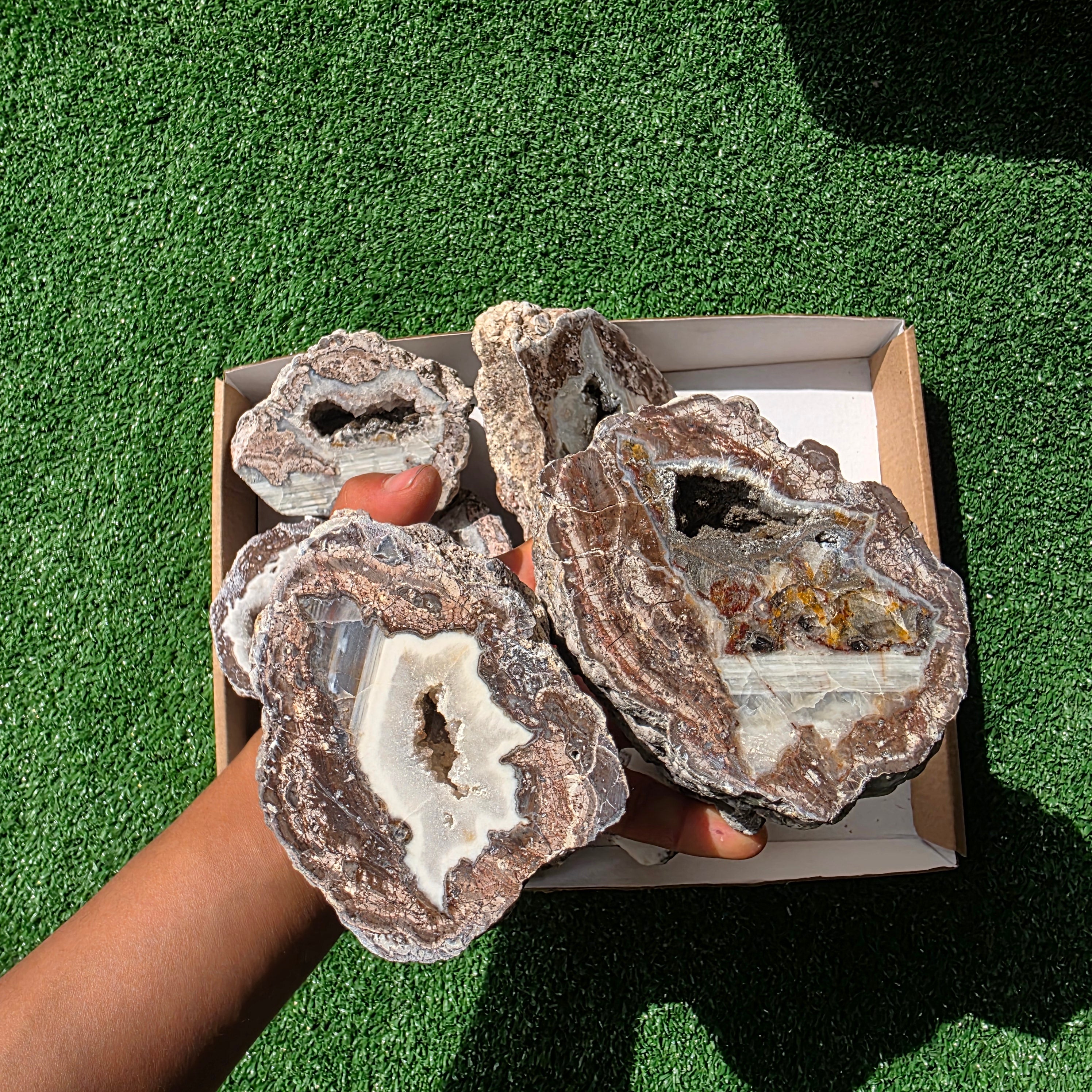 lot 11 pcs Quartz Geode