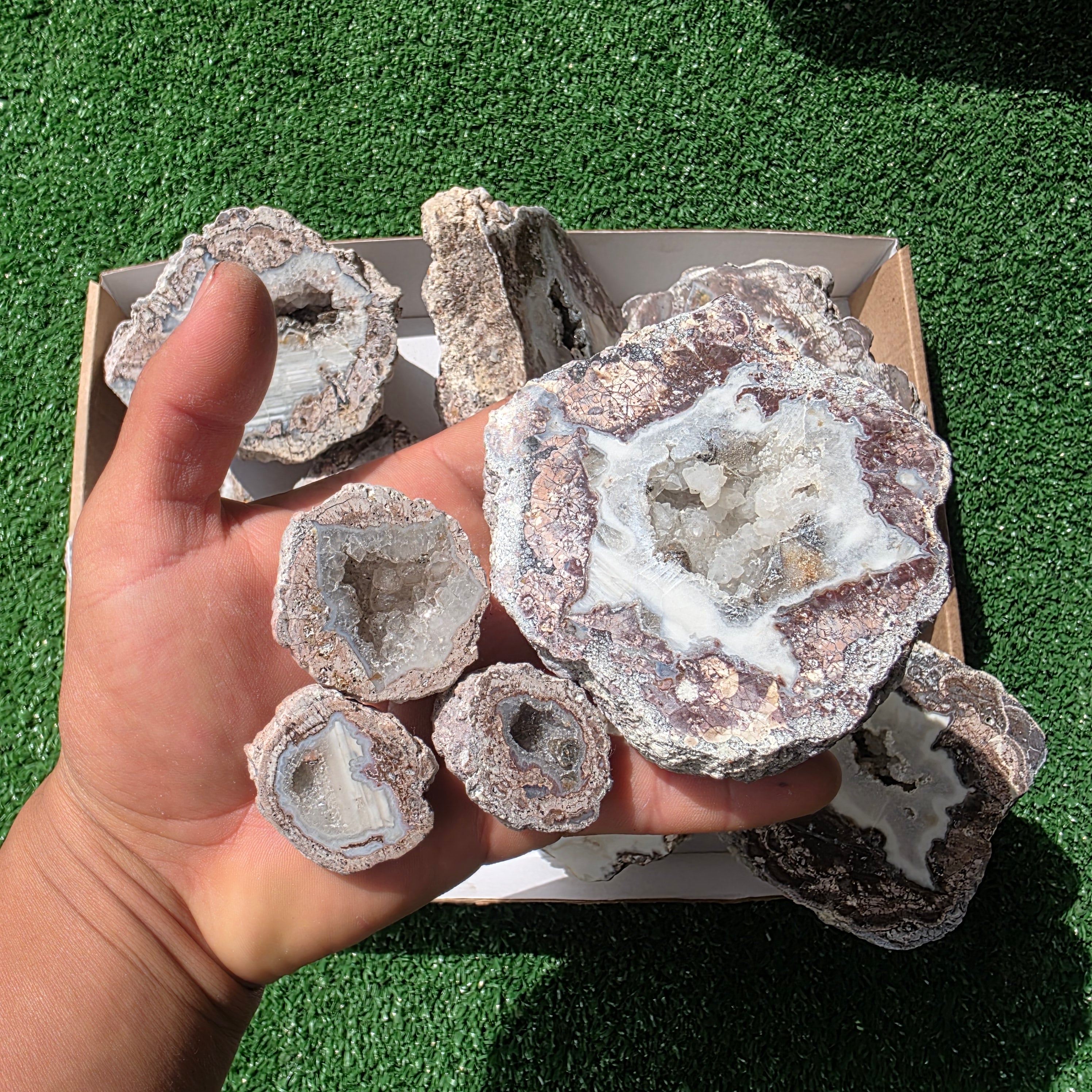 lot 11 pcs Quartz Geode