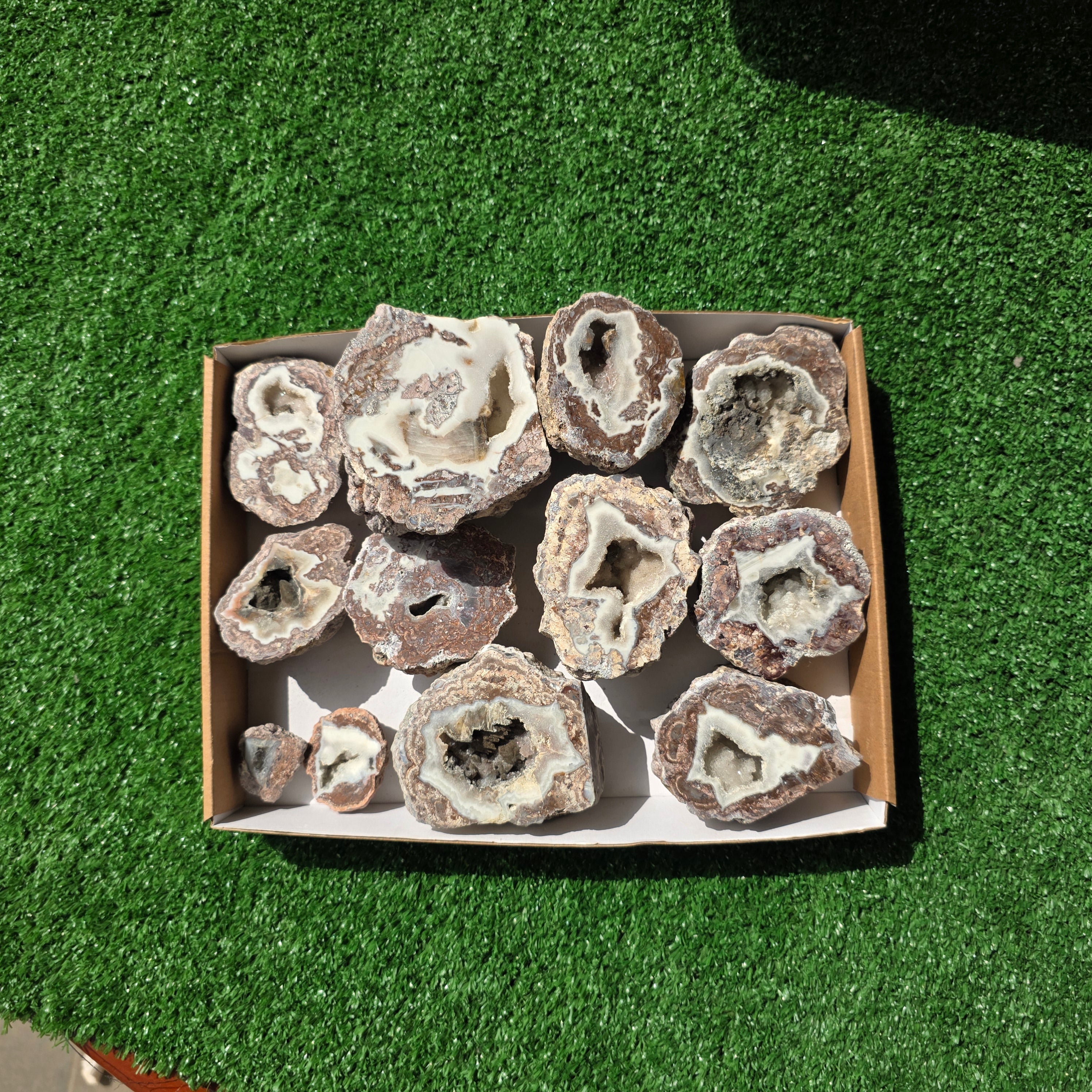 lot 12 pcs Quartz Geode
