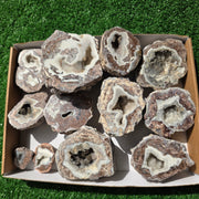 lot 12 pcs Quartz Geode